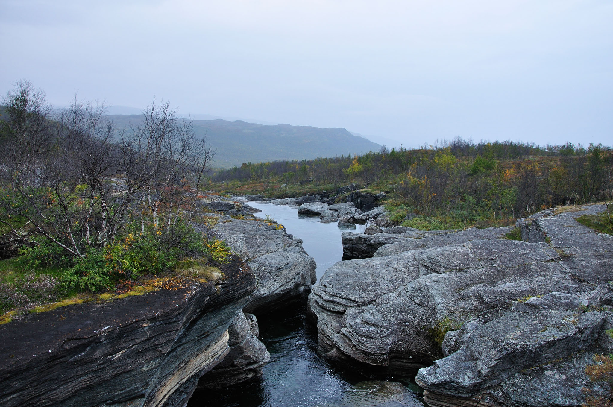 Abisko2014437_-w.jpg