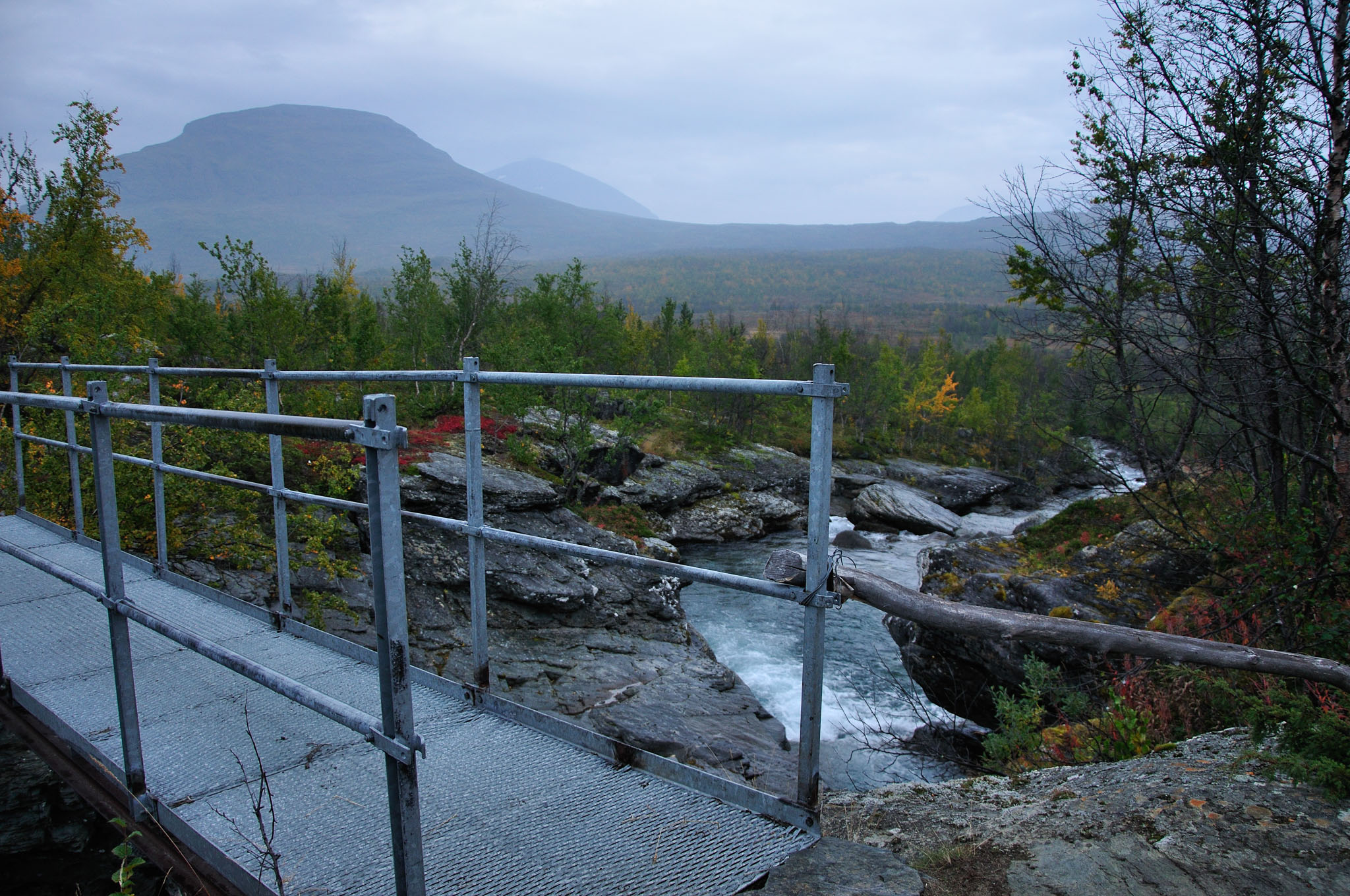 Abisko2014440_-w.jpg