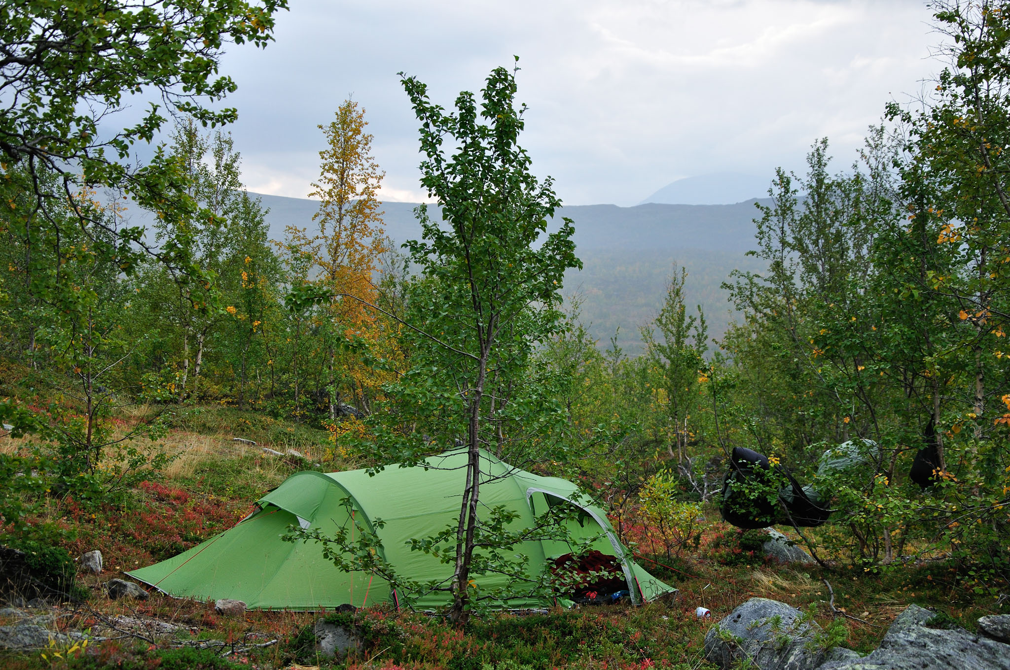 Abisko2014447_-w.jpg