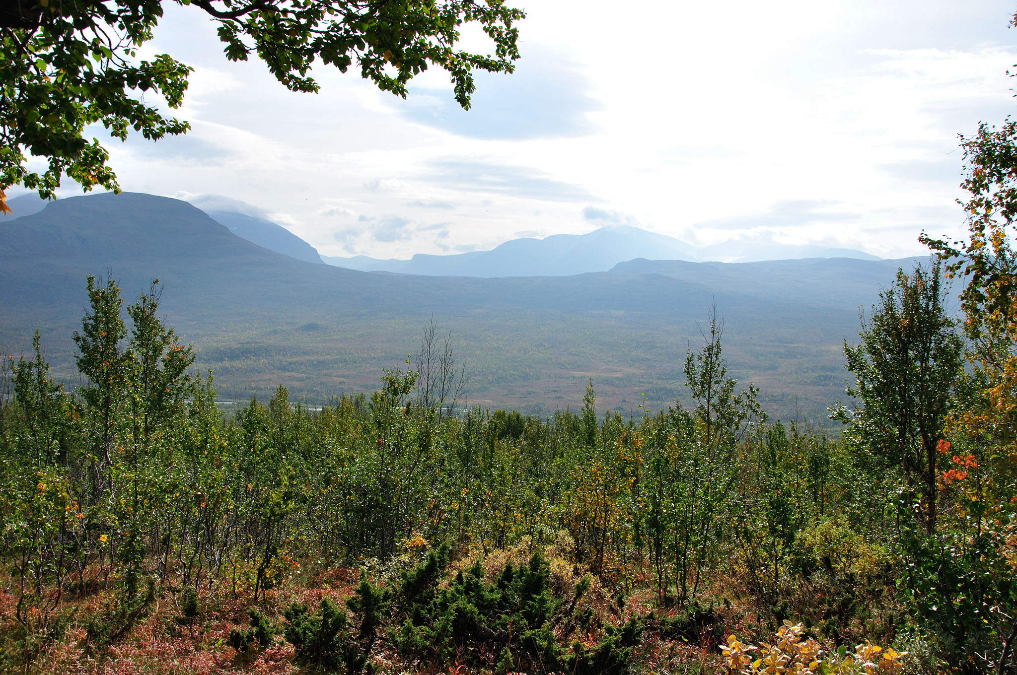 Abisko2014455_-w.jpg