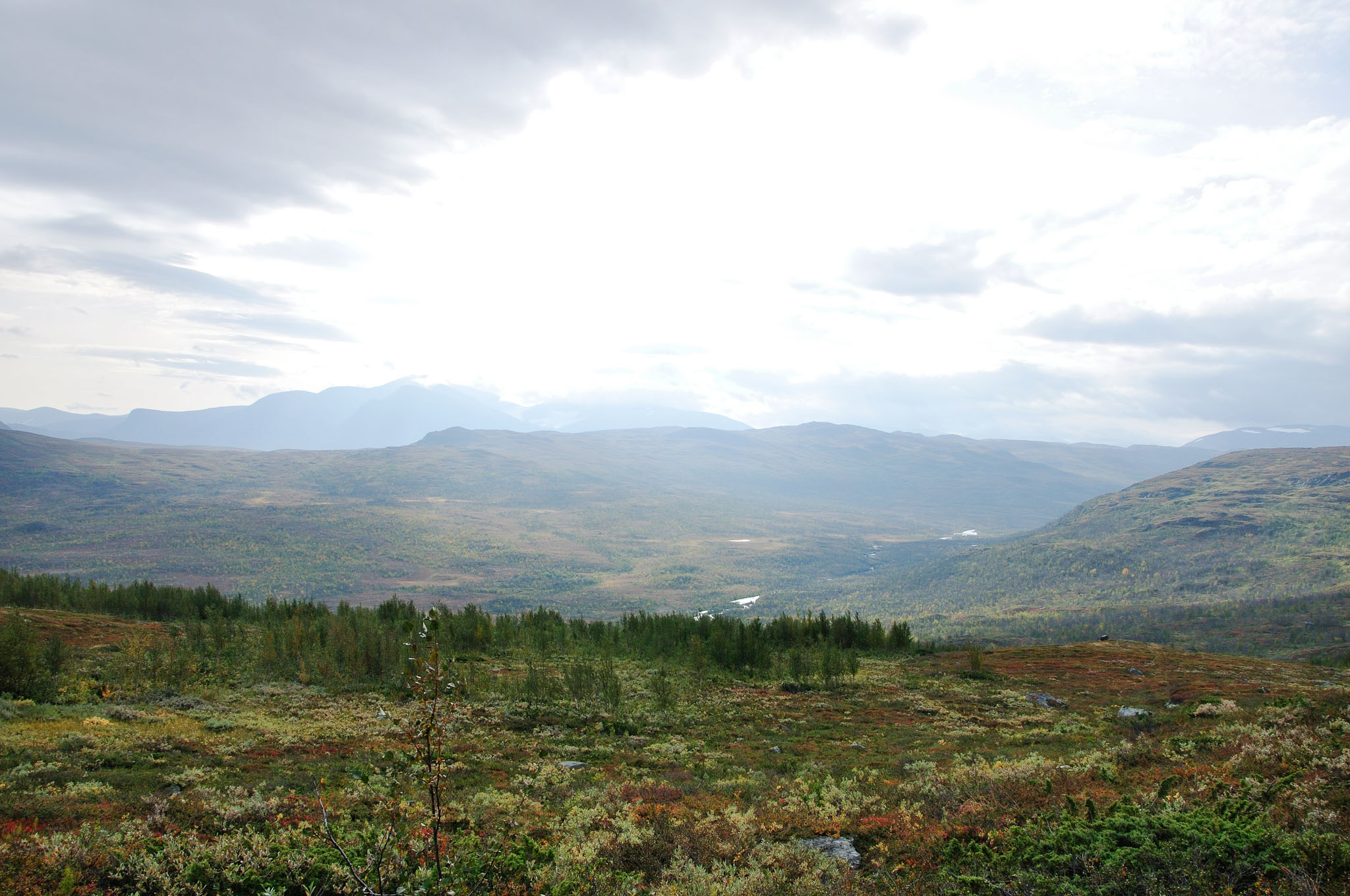 Abisko2014468_-w.jpg