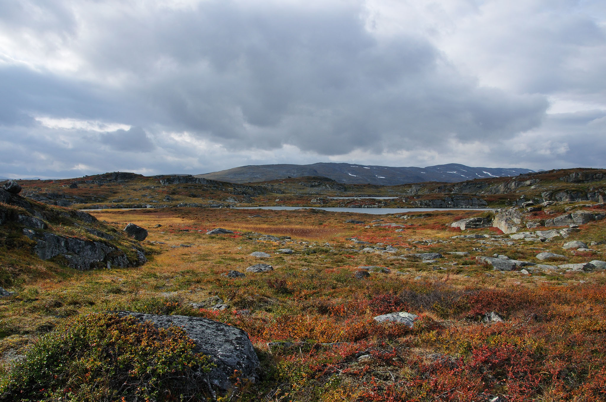 Abisko2014501_-w.jpg