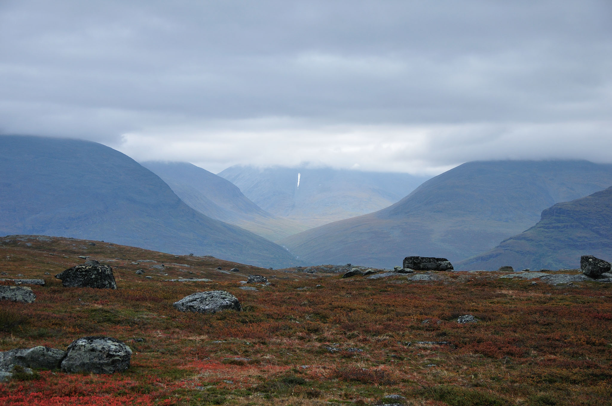 Abisko2014505_-w.jpg