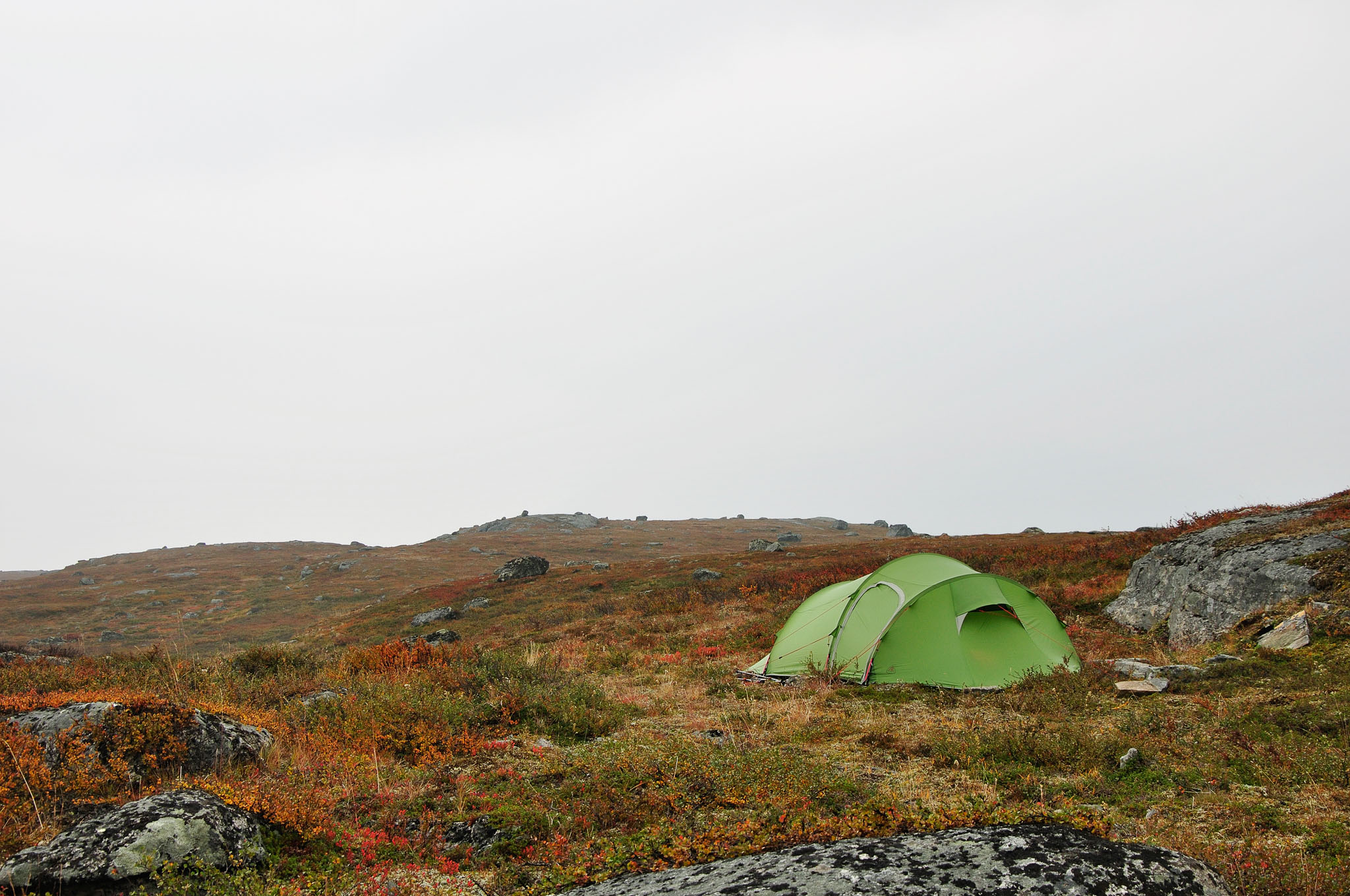 Abisko2014559_-w.jpg