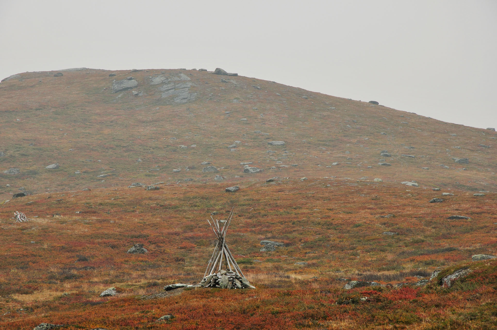 Abisko2014567_-w.jpg