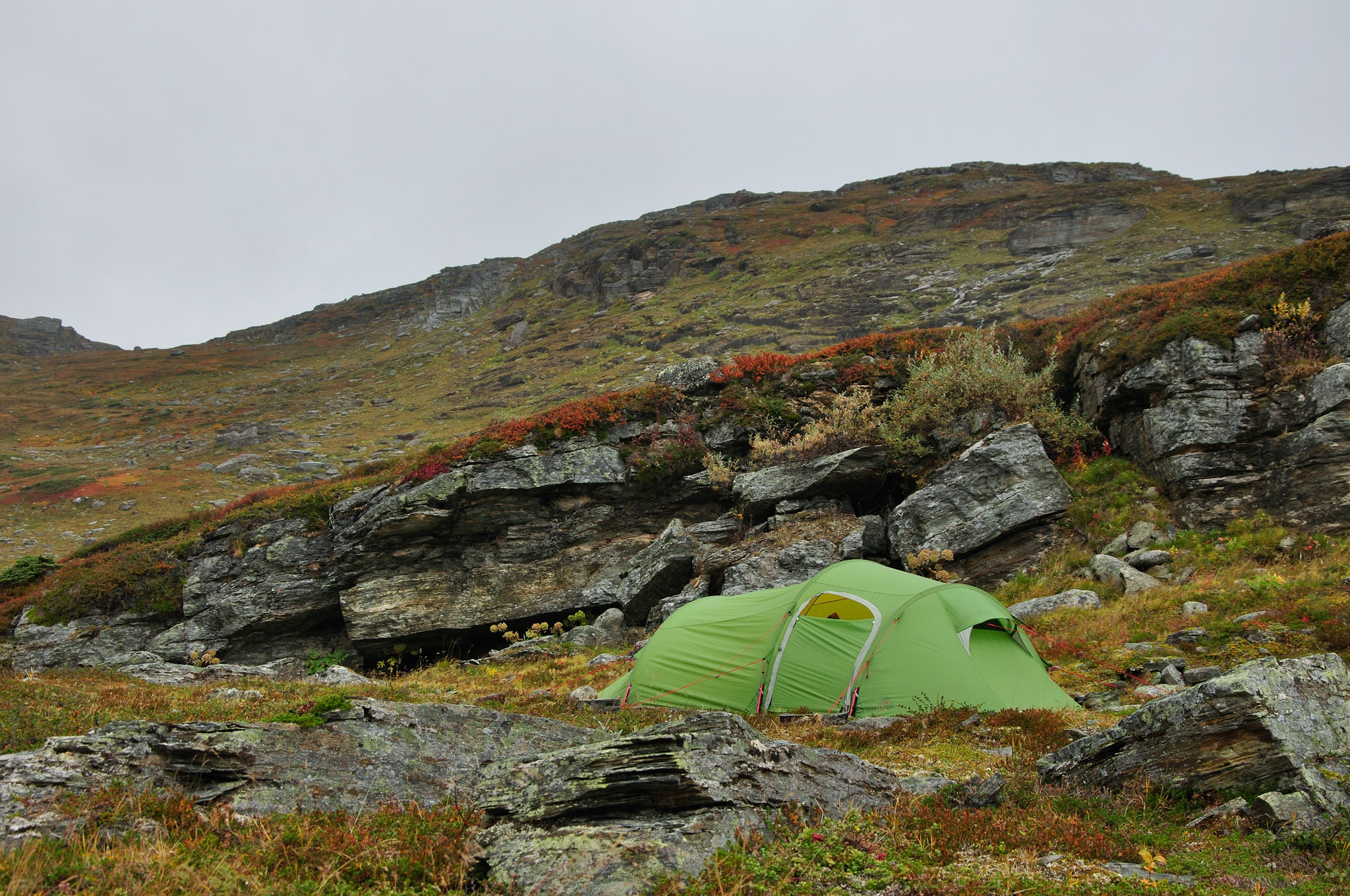 Abisko2014615_-w.jpg