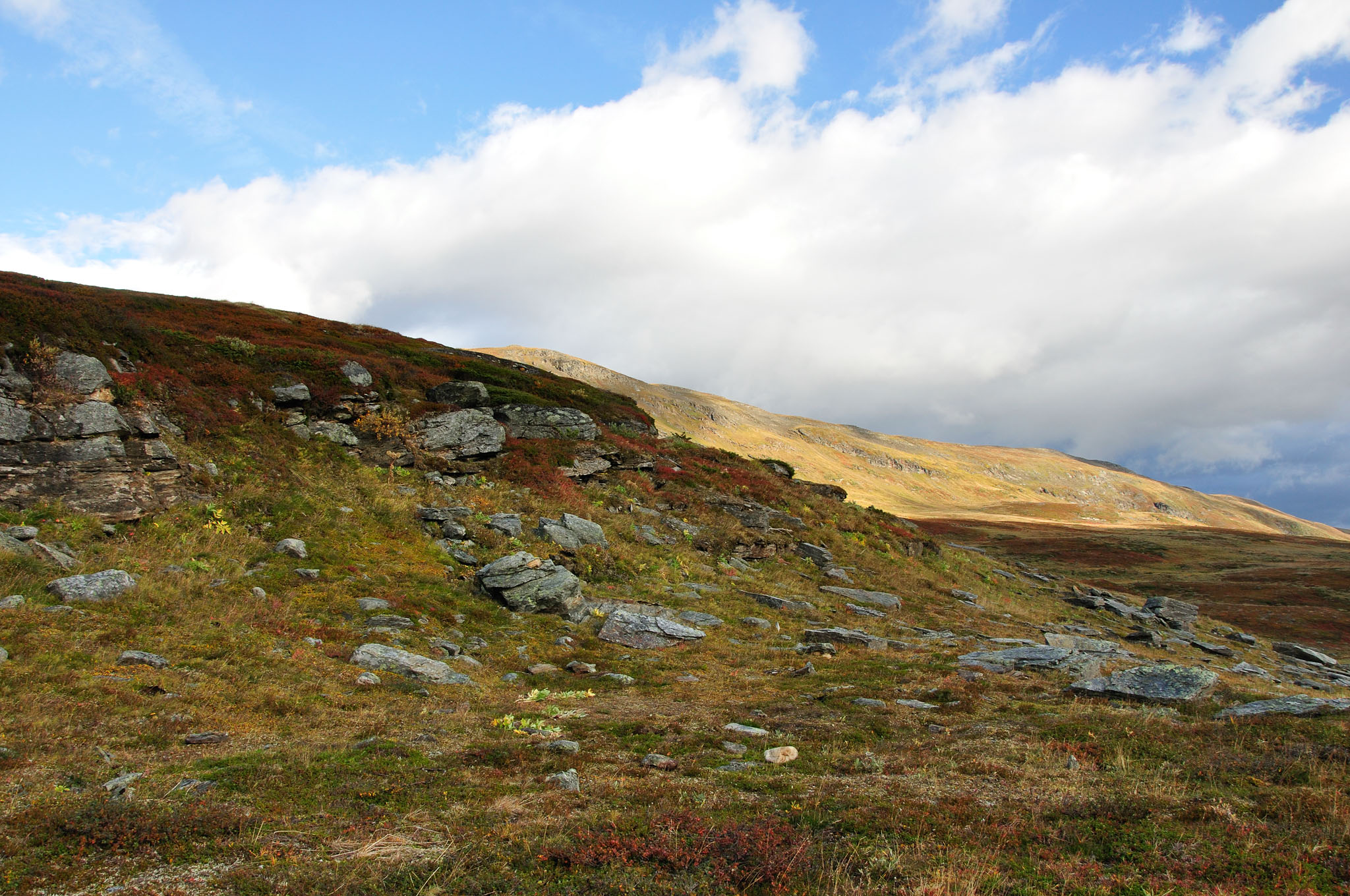 Abisko2014625_-w.jpg