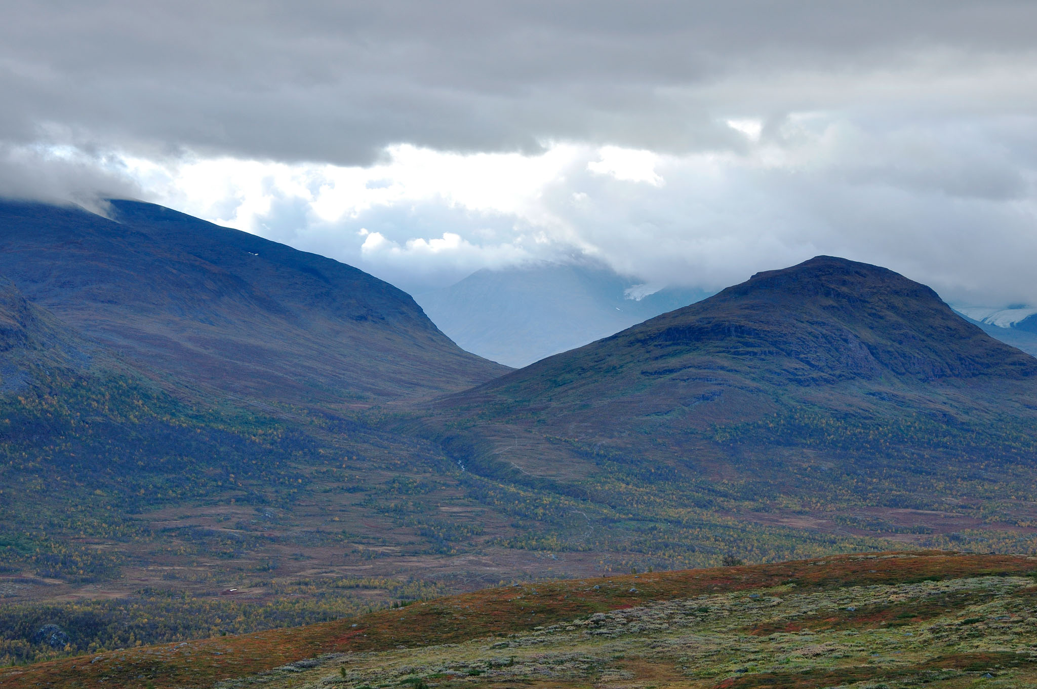 Abisko2014634_-w.jpg