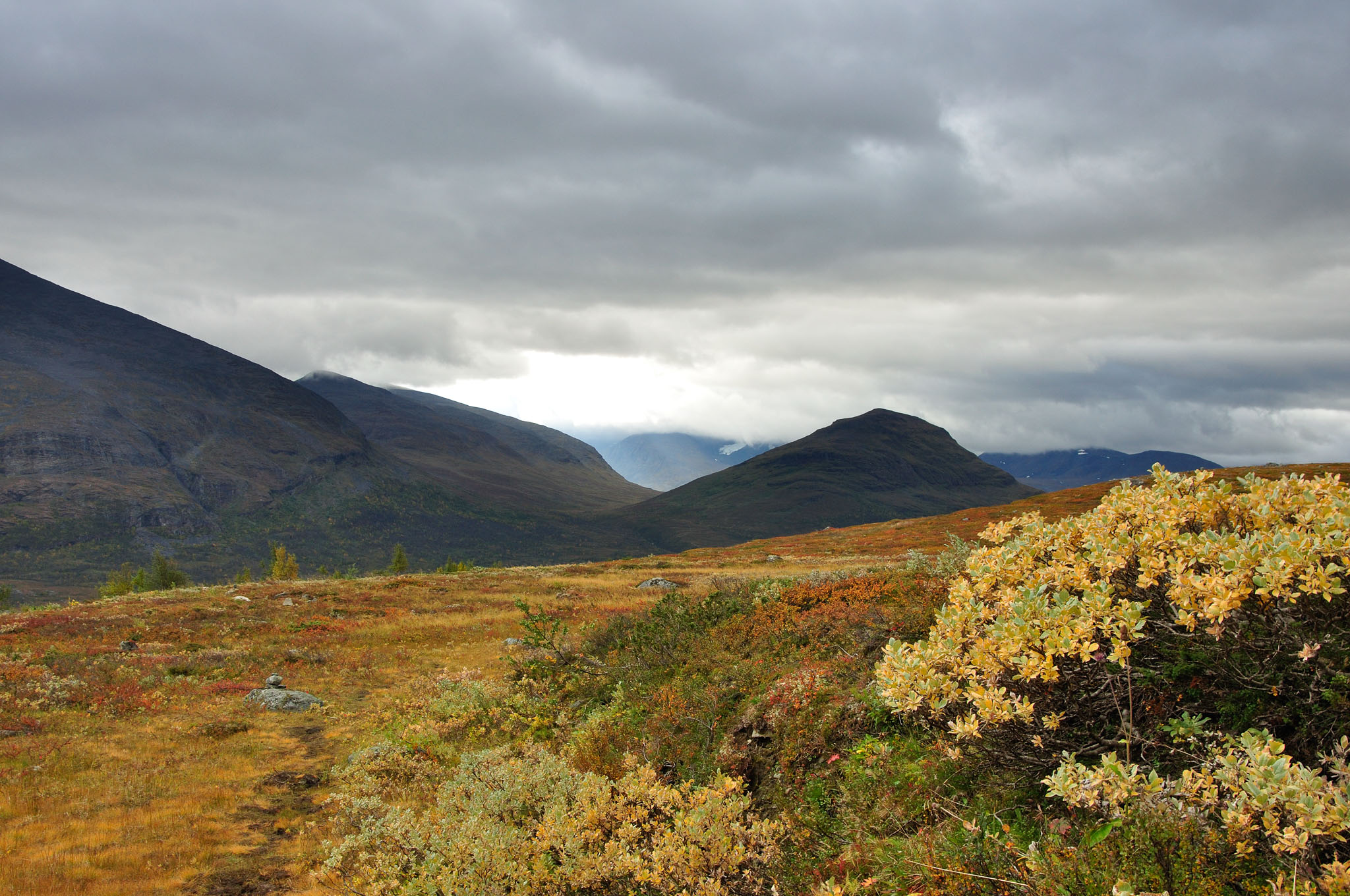 Abisko2014645_-w.jpg