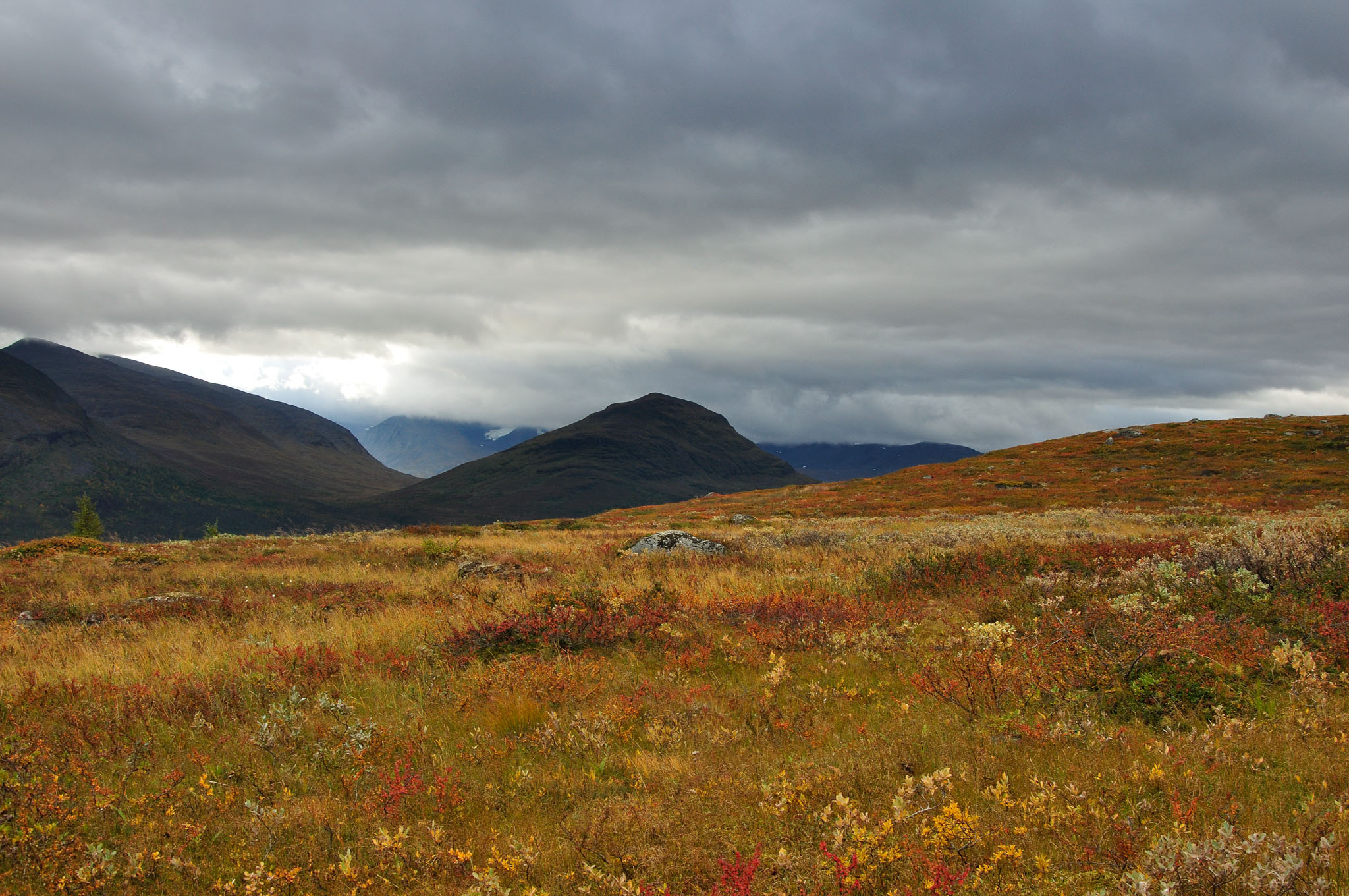 Abisko2014646_-w.jpg