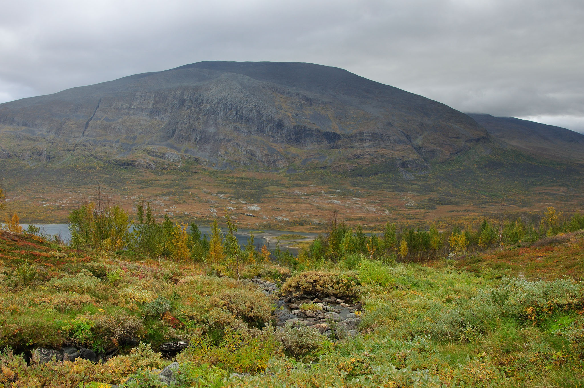 Abisko2014648_-w.jpg