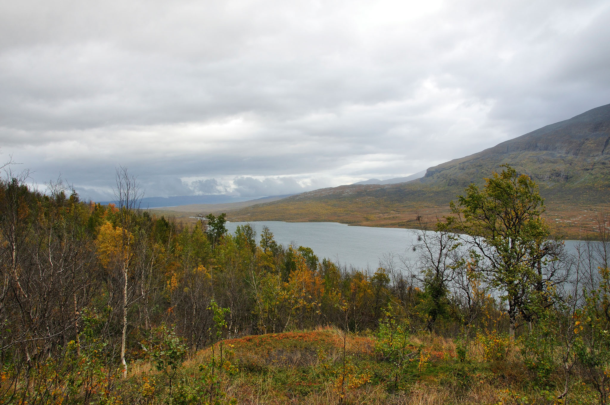 Abisko2014649_-w.jpg