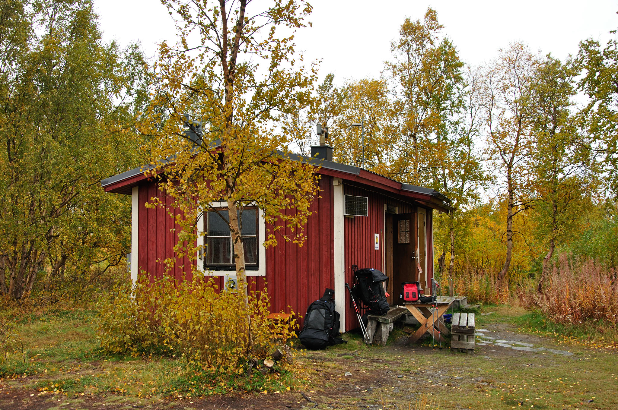 Abisko2014654_-w.jpg