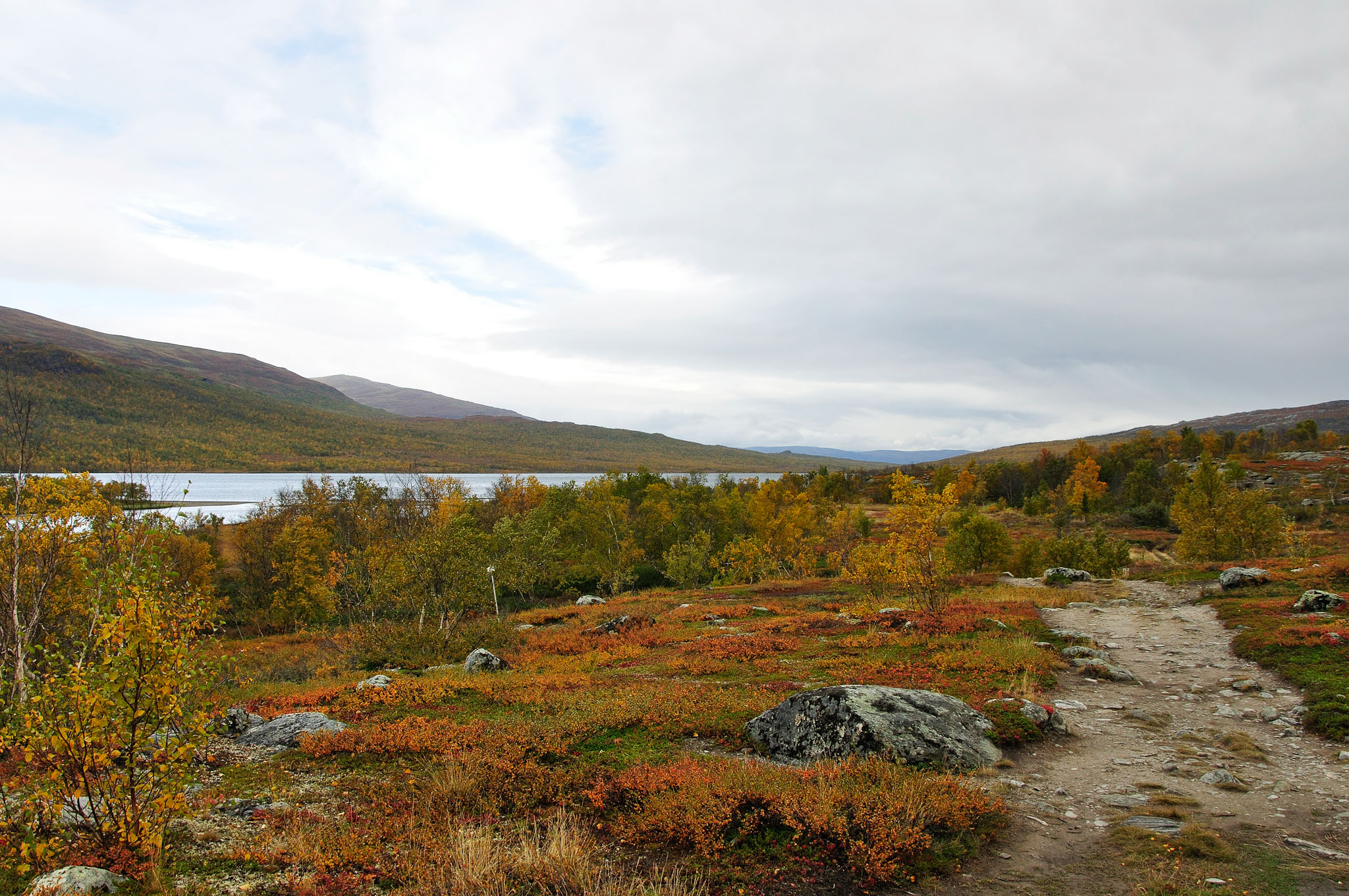 Abisko2014662_-w.jpg