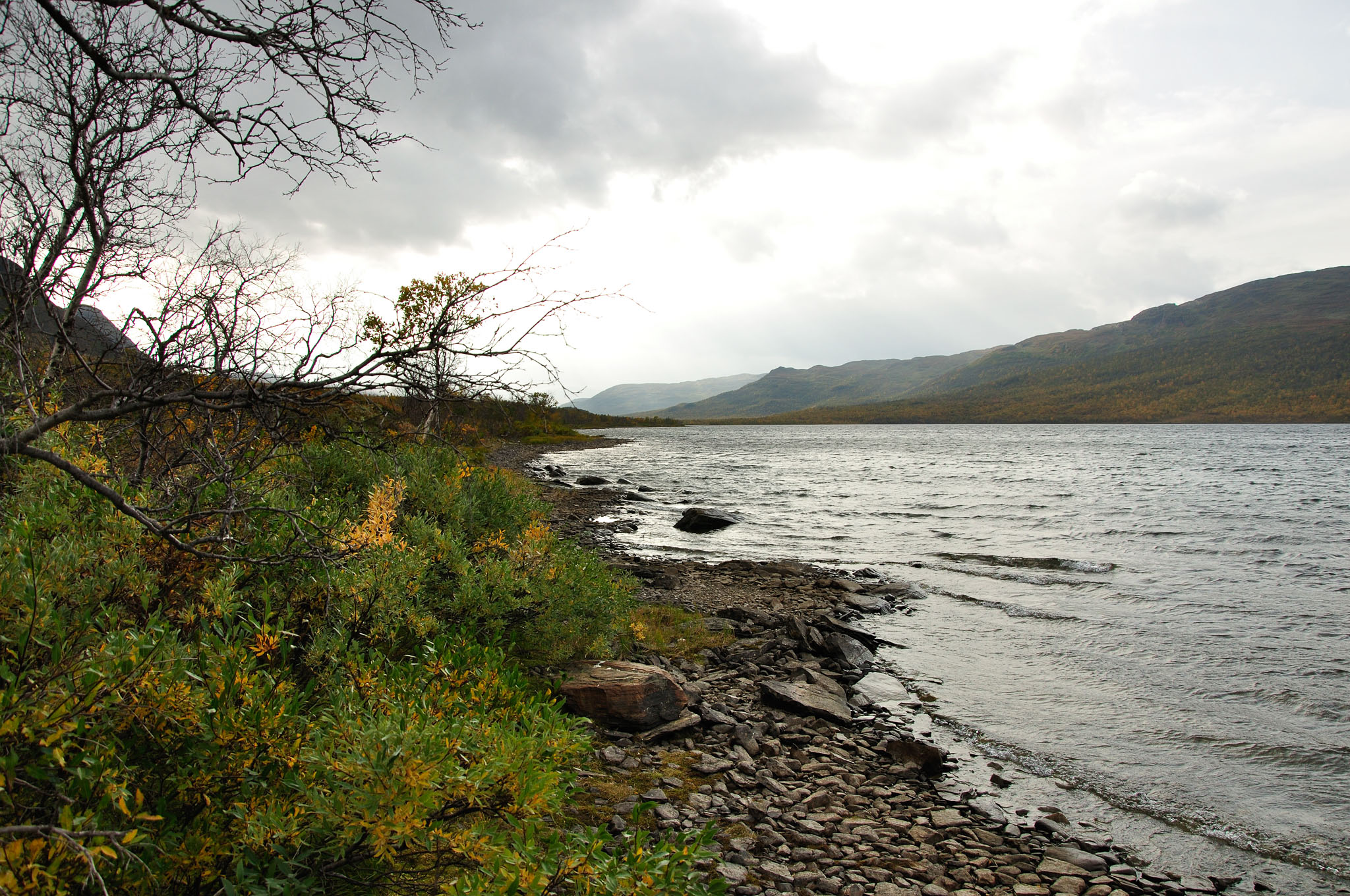 Abisko2014663_-w.jpg