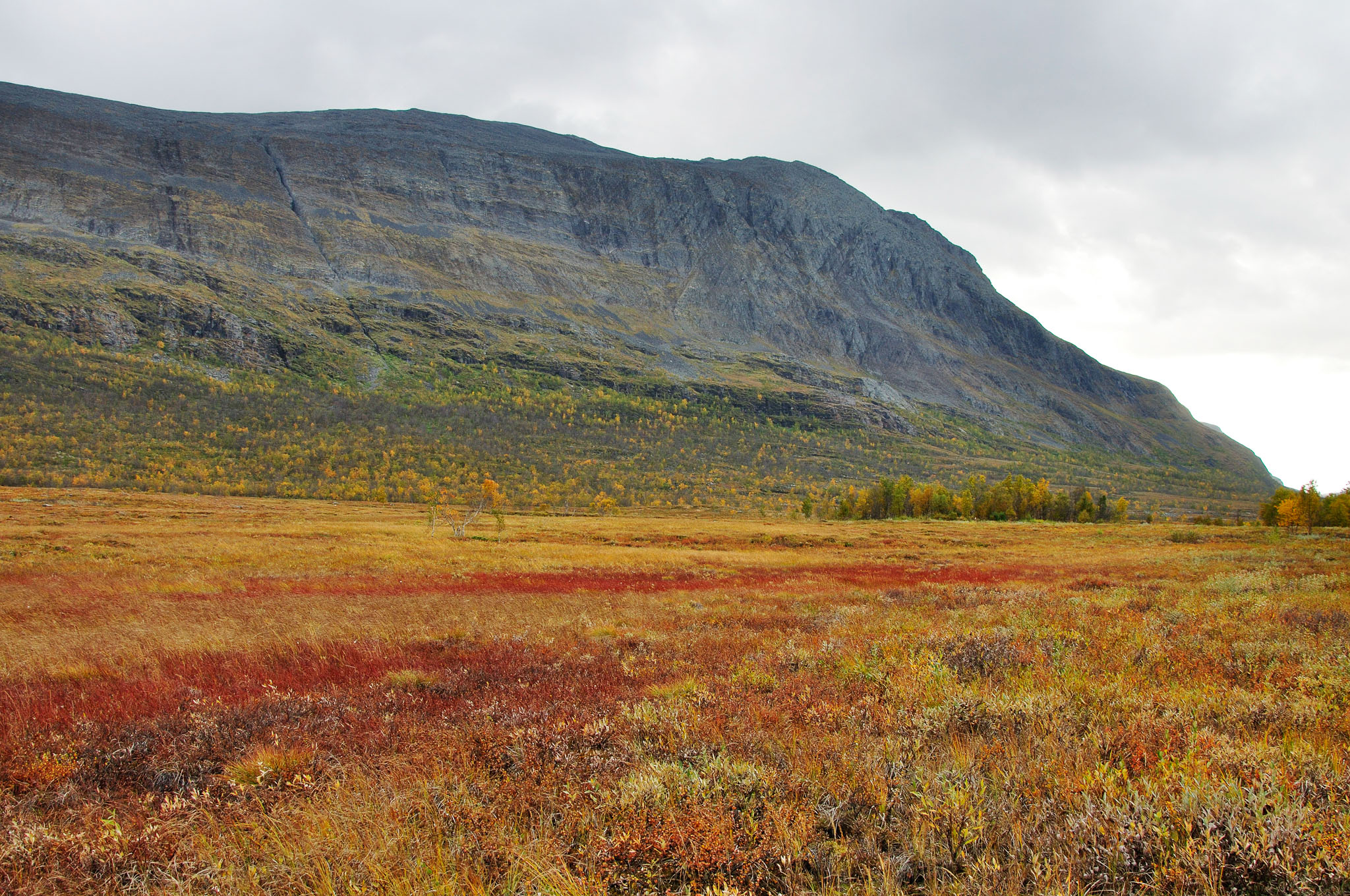 Abisko2014665_-w.jpg