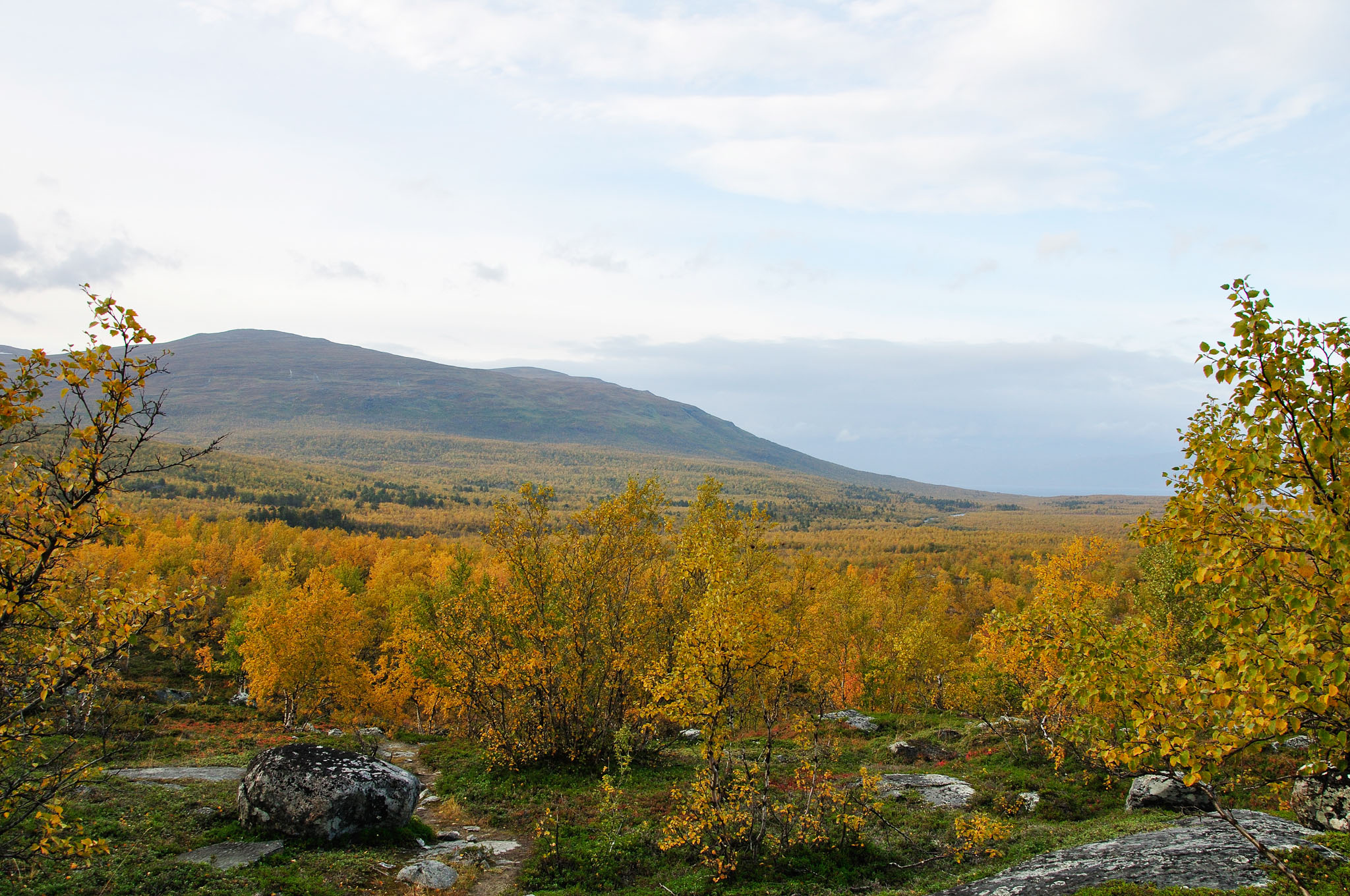 Abisko2014686_-w.jpg