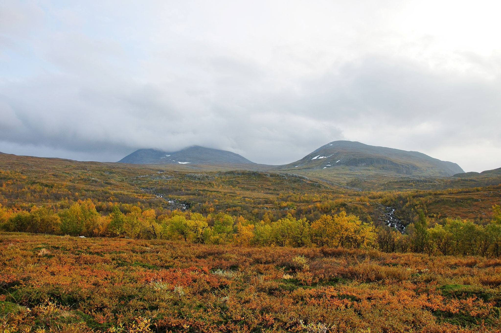 Abisko2014692_-w.jpg