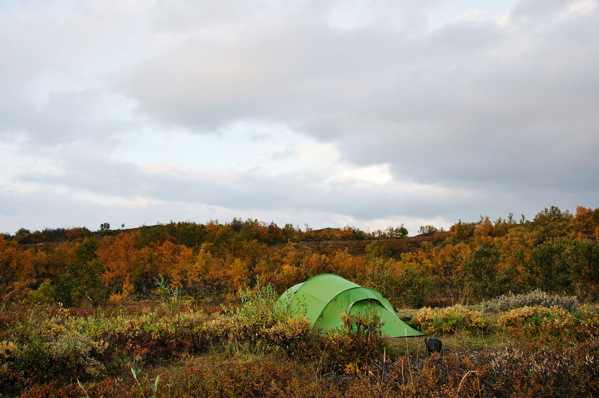 Abisko2014710_-w.jpg