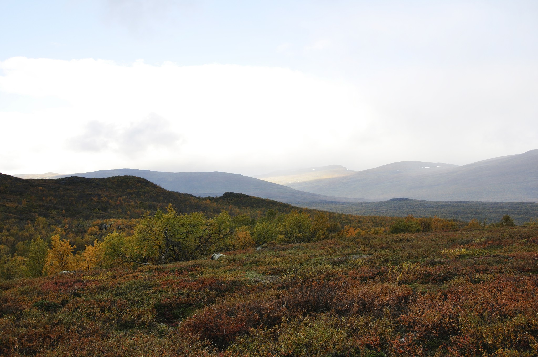 Abisko2014717_-w.JPG