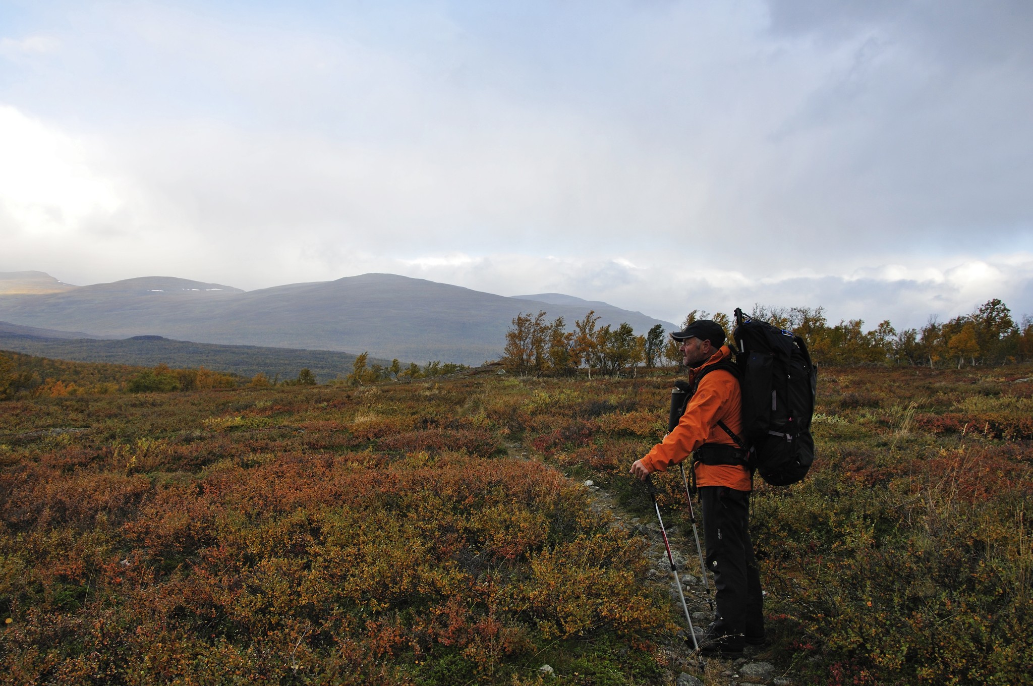 Abisko2014718_-w.JPG