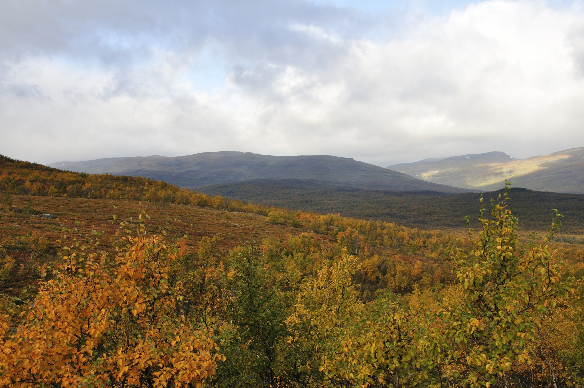 Abisko2014721_-w.JPG