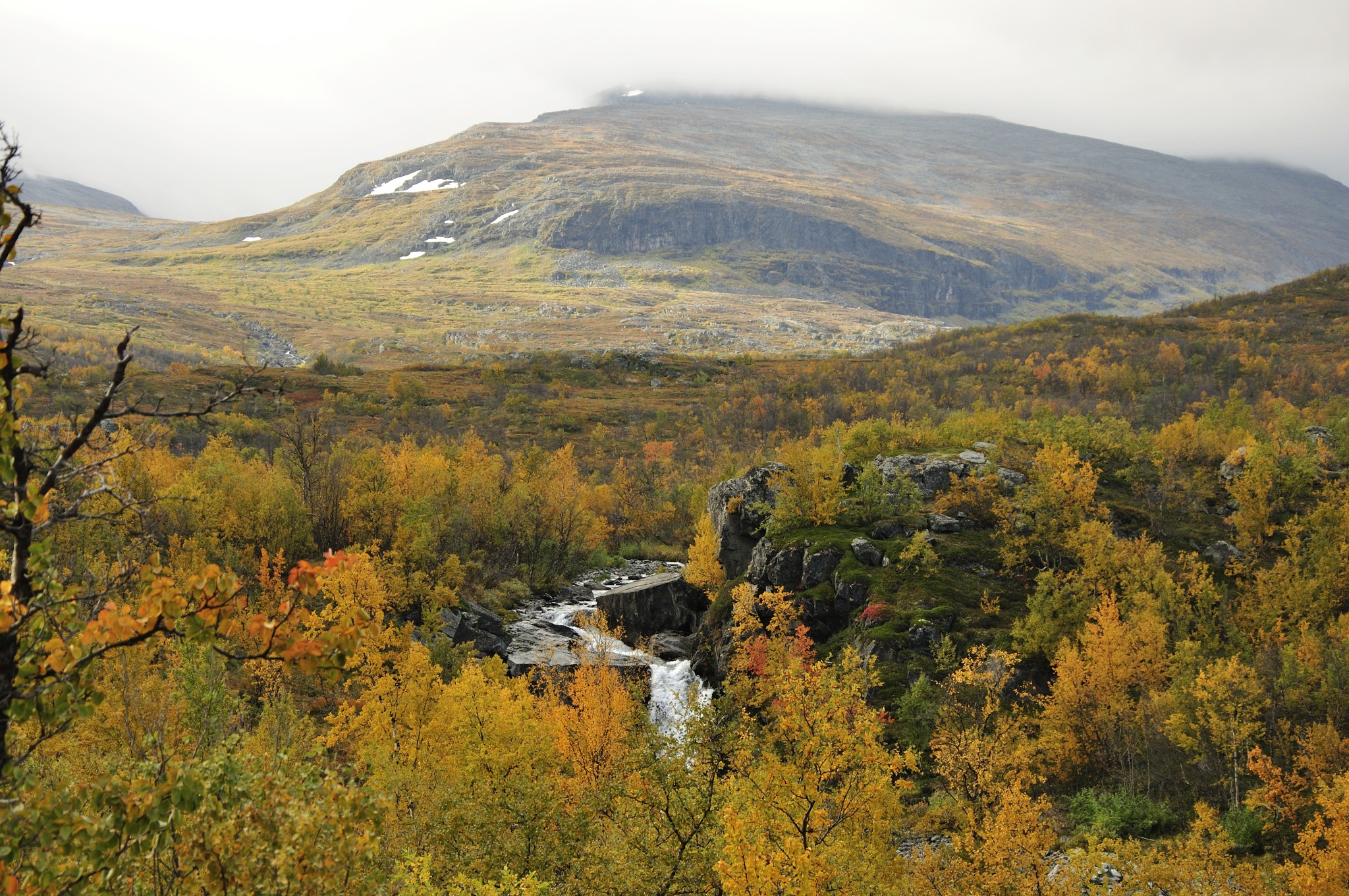 Abisko2014723_-w.JPG