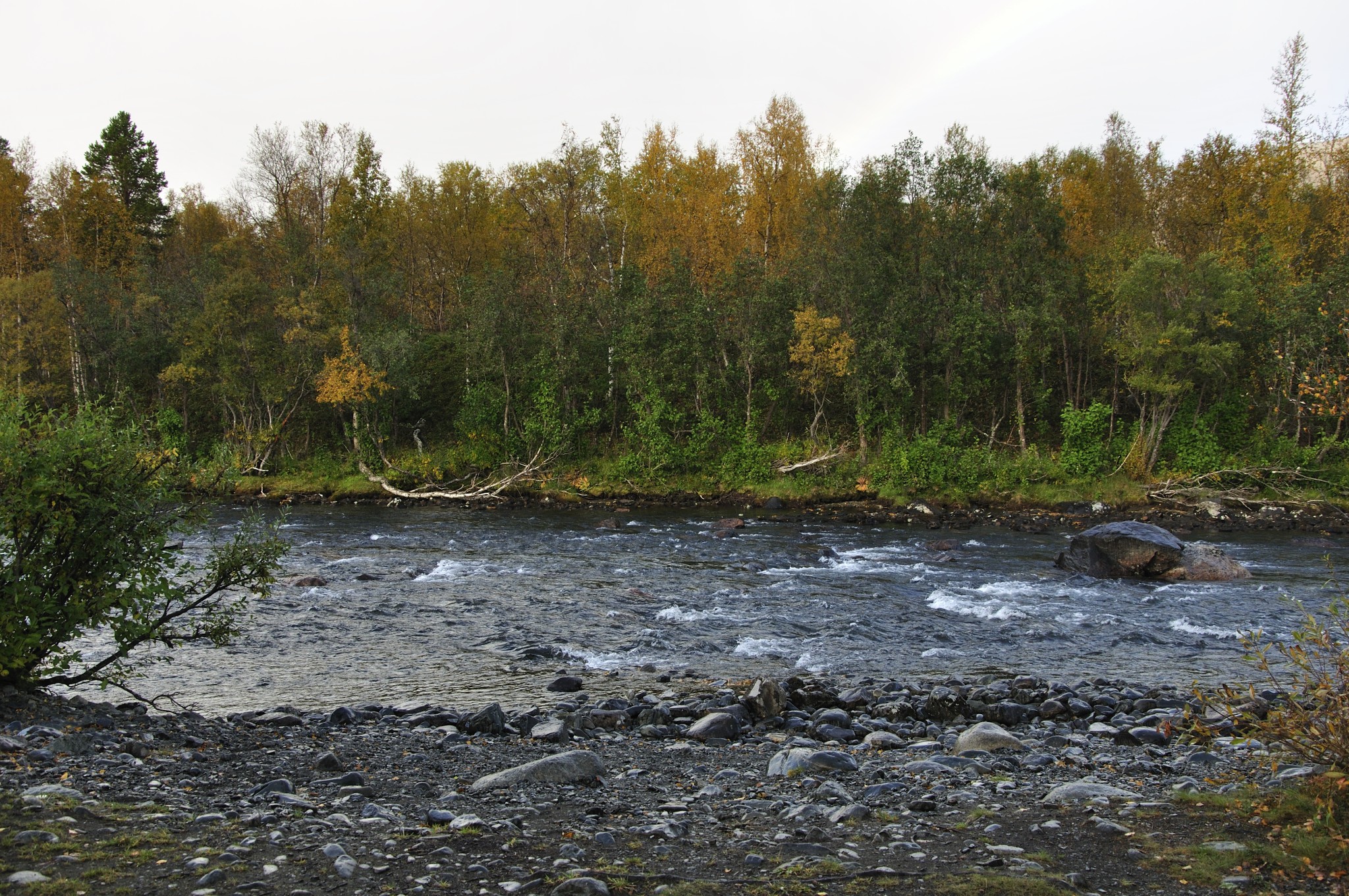 b_Abisko201401_-w.JPG