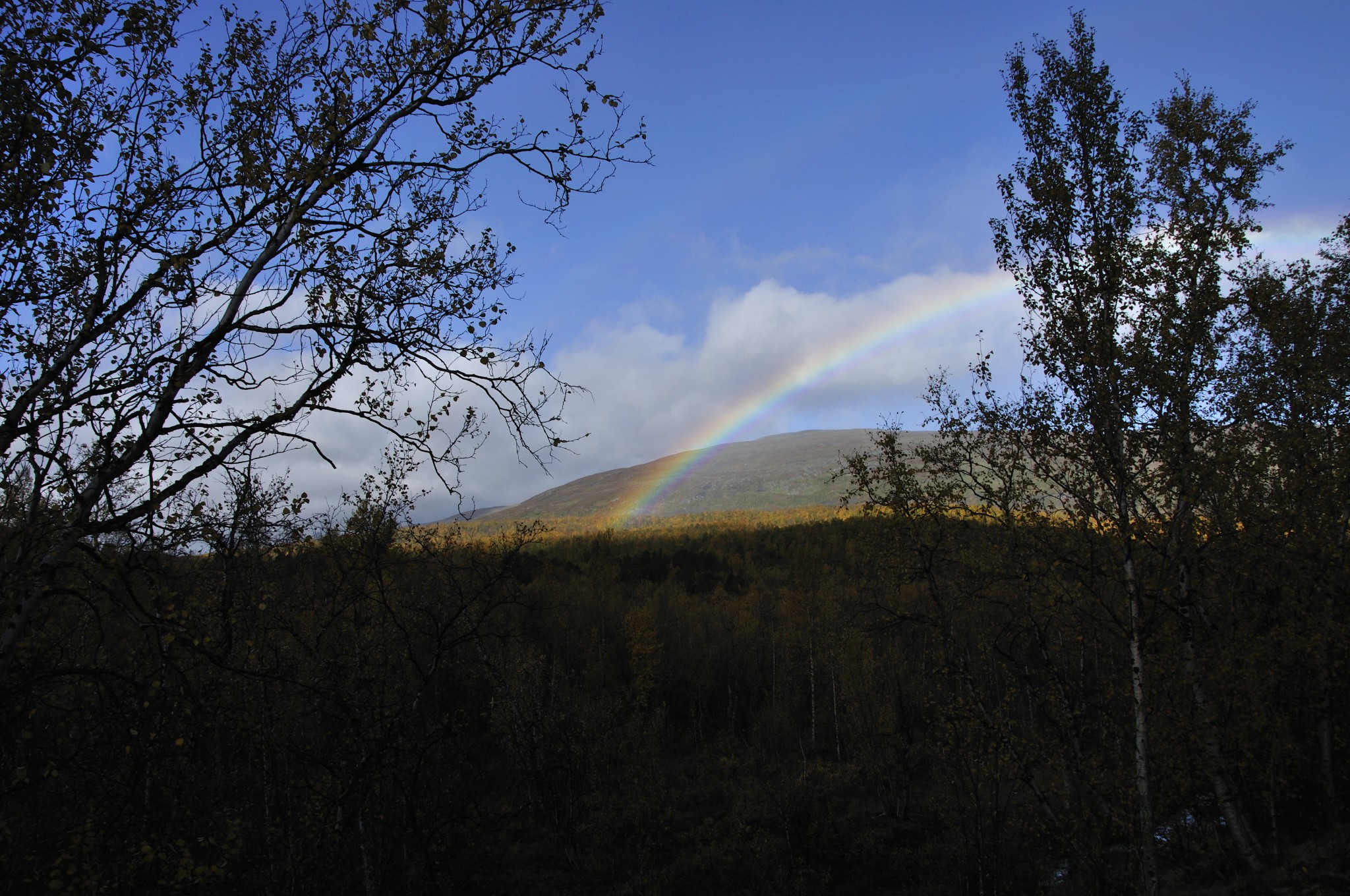 b_Abisko201409_-w.JPG