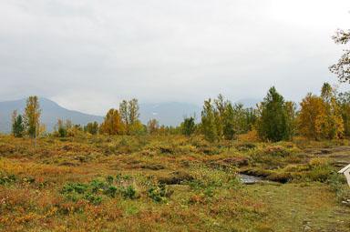 Abisko201406_-w.jpg