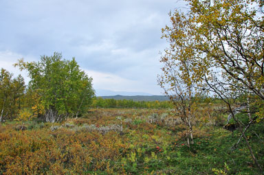 Abisko201422_-w.jpg