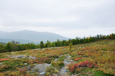 Abisko201424_-w.jpg