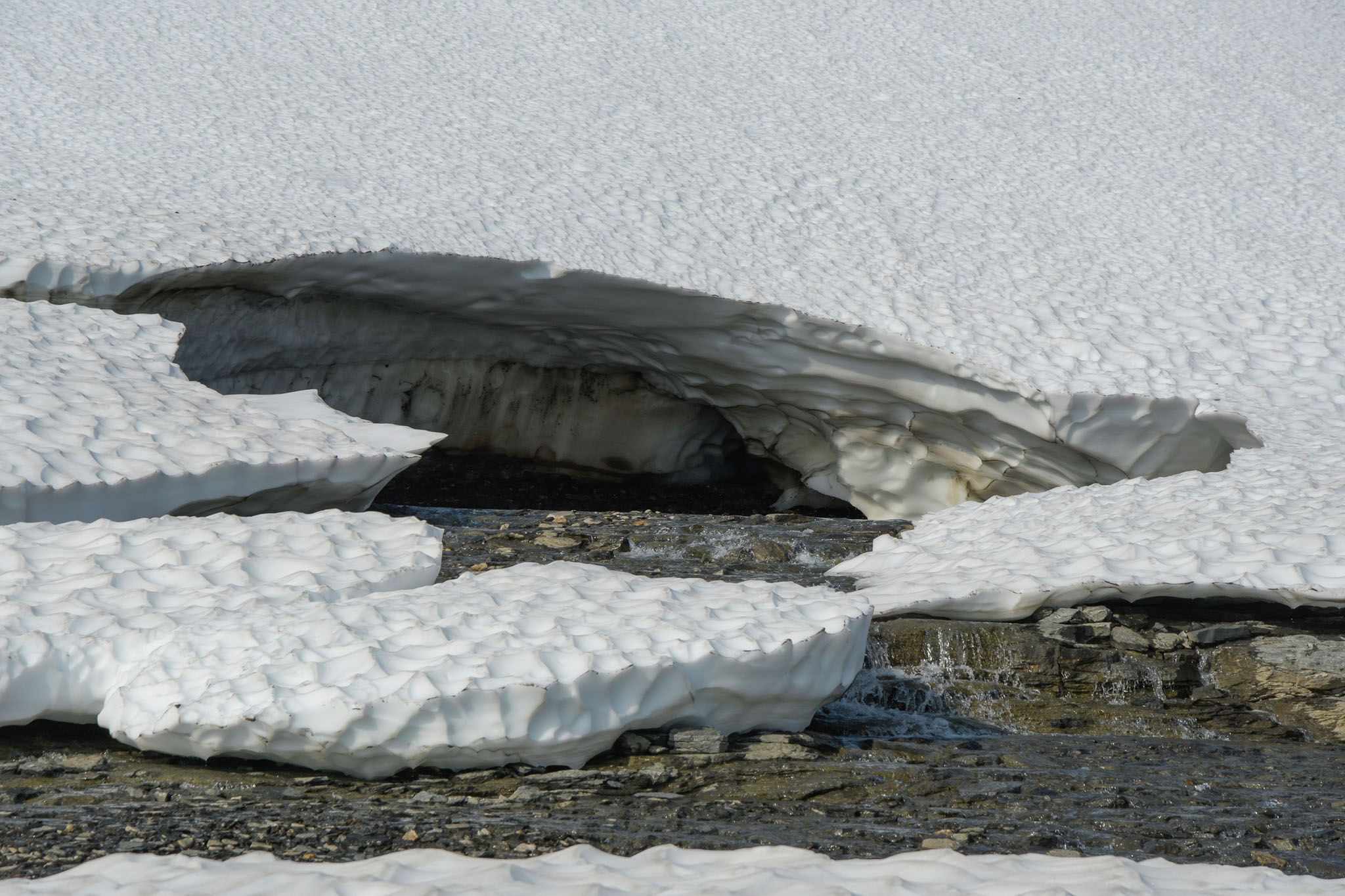 125-Lapland2019_DSC6626_W.jpg