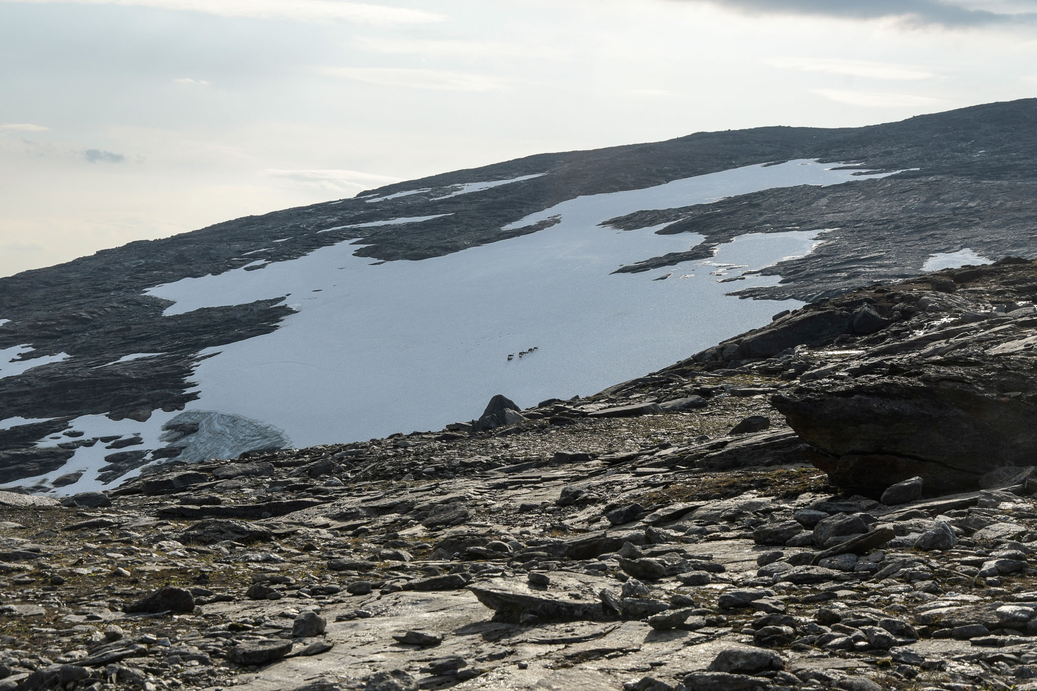 135-Lapland2019_DSC6641_W.jpg