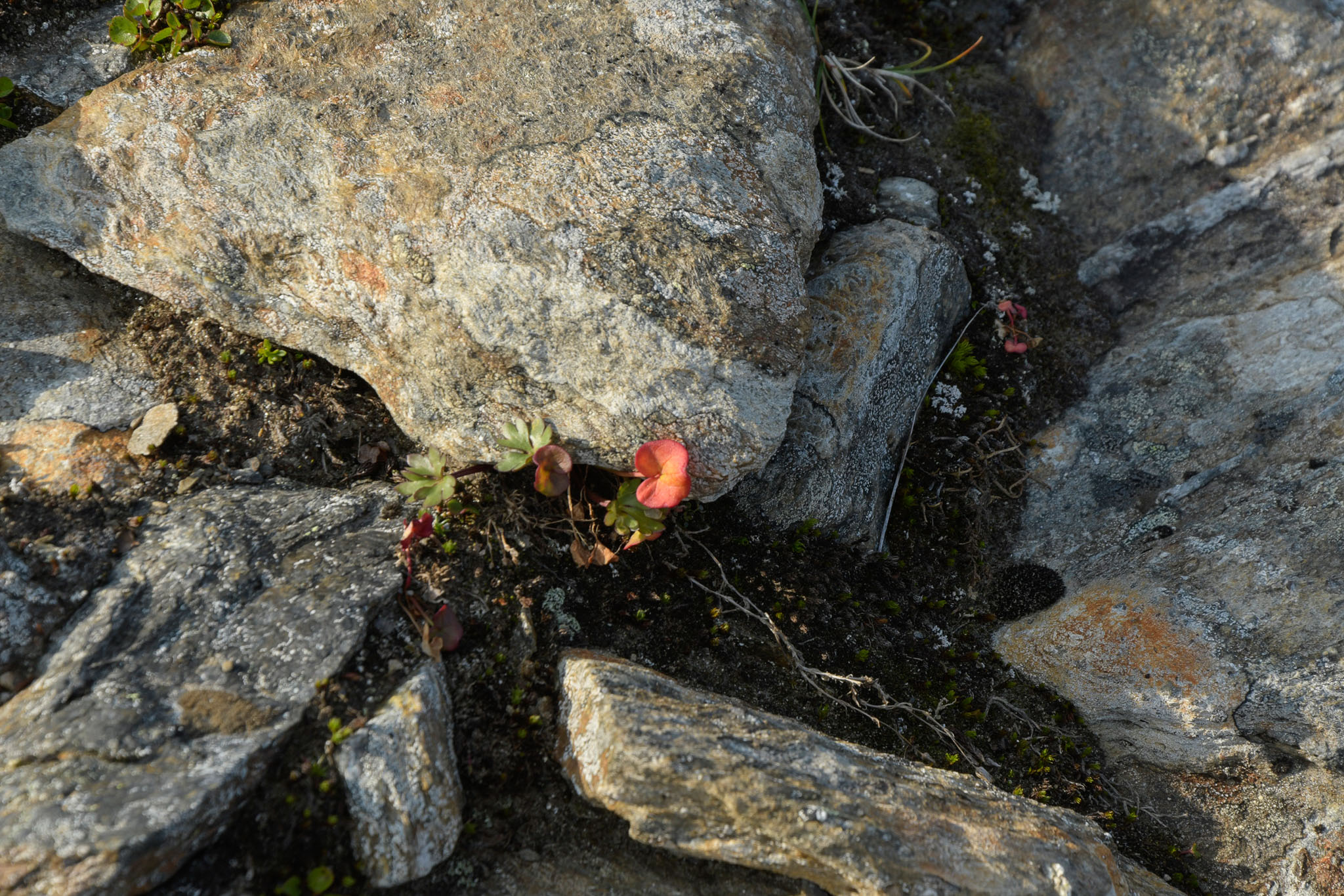 137-Lapland2019_DSC6644_W.jpg