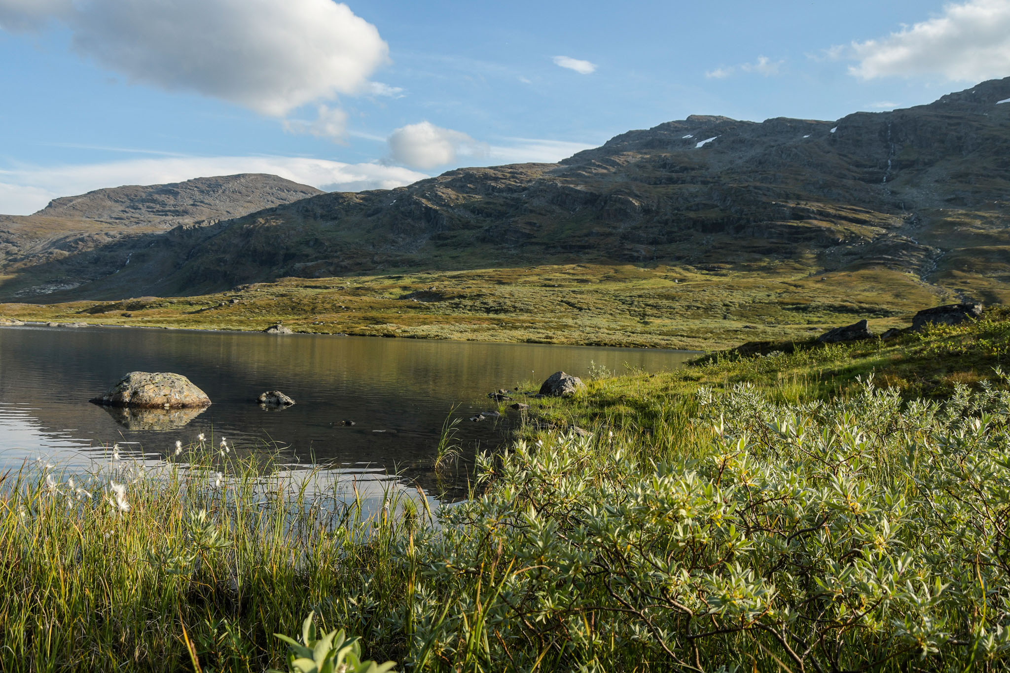 193-Lapland2019_DSC6736_W.jpg