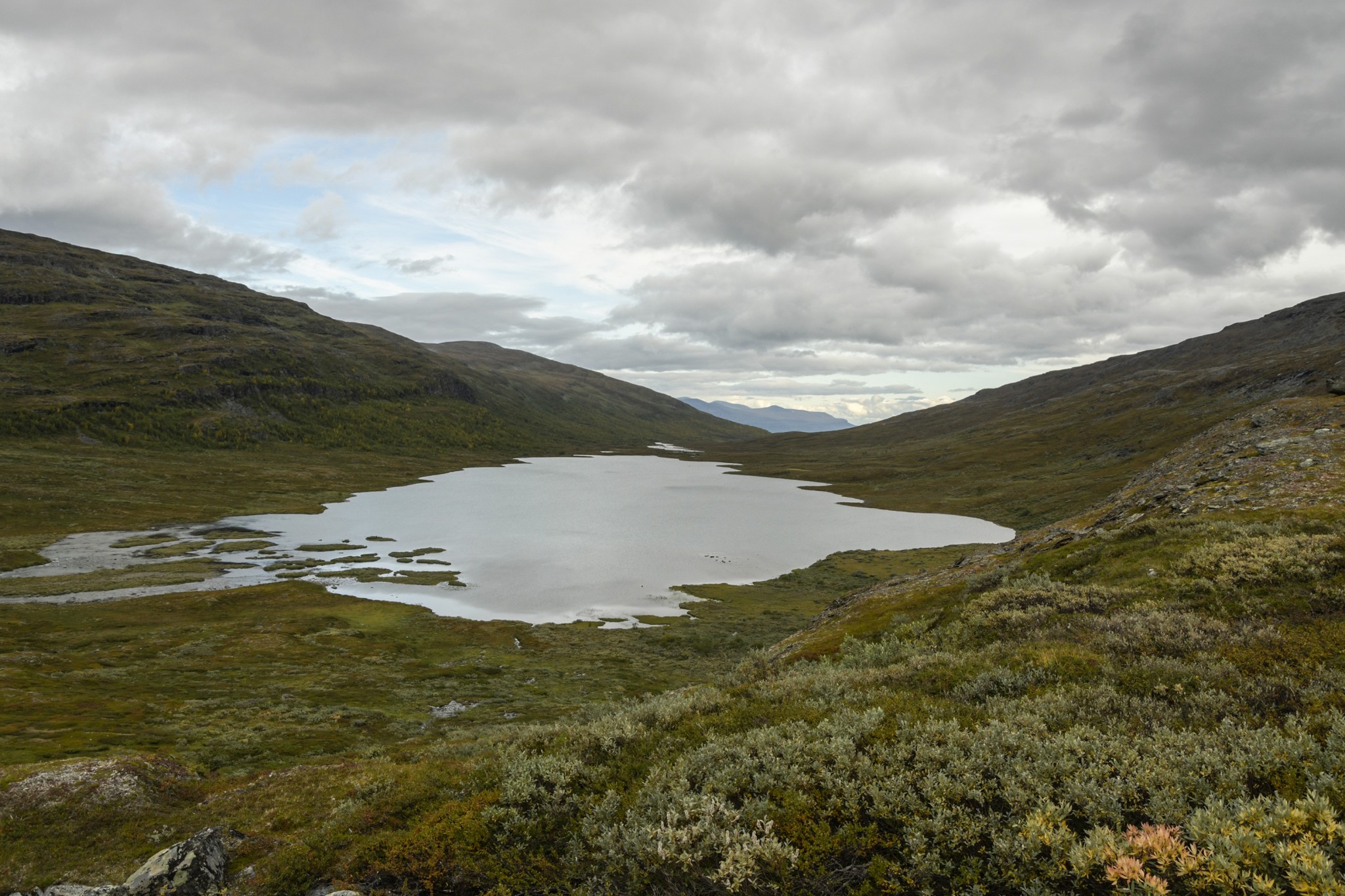 240-Lapland2019_DSC6828_W.jpg