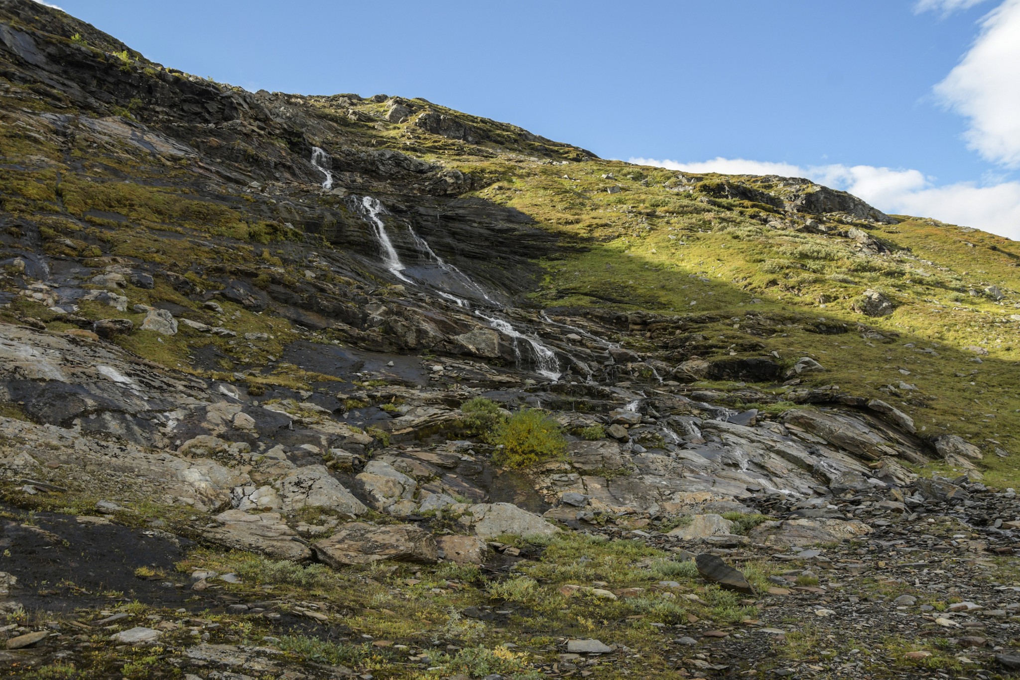 253-Lapland2019_DSC6862_W.jpg