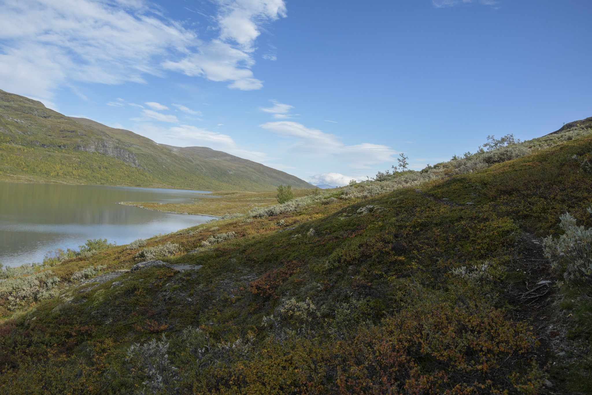 267-Lapland2019_DSC6897_W.jpg