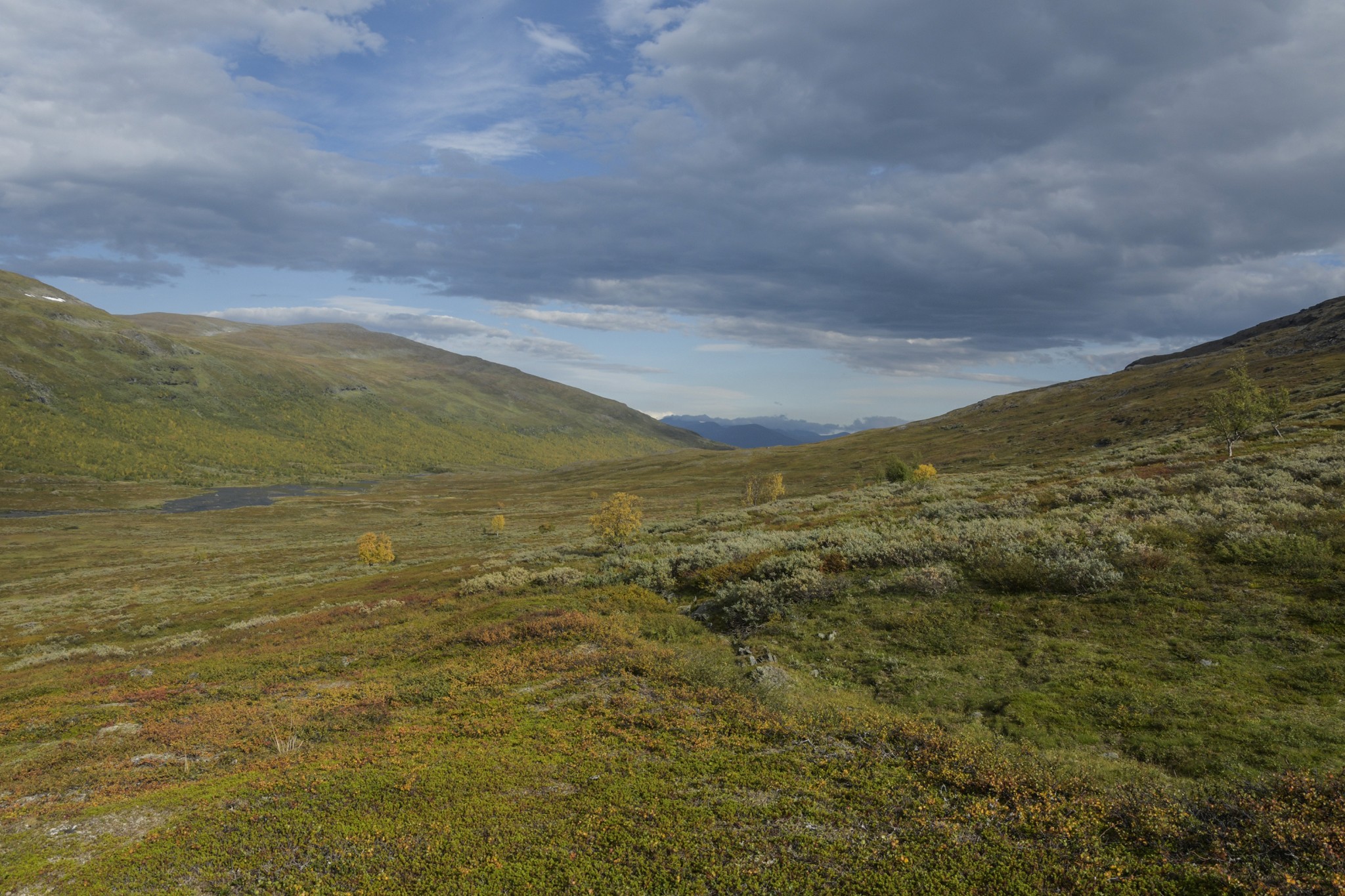 271-Lapland2019_DSC6910_W.jpg