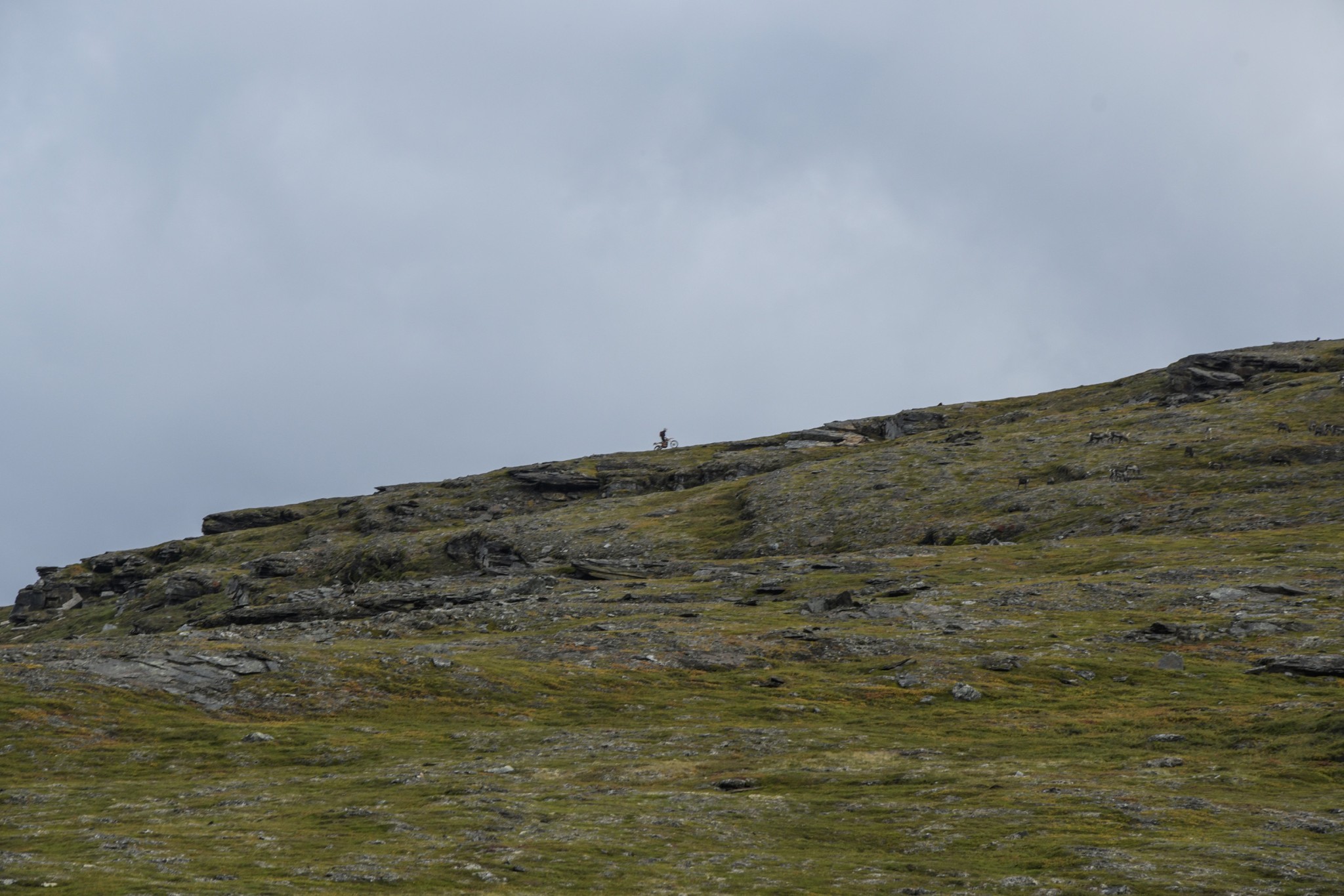 273-Lapland2019_DSC6917_W.jpg