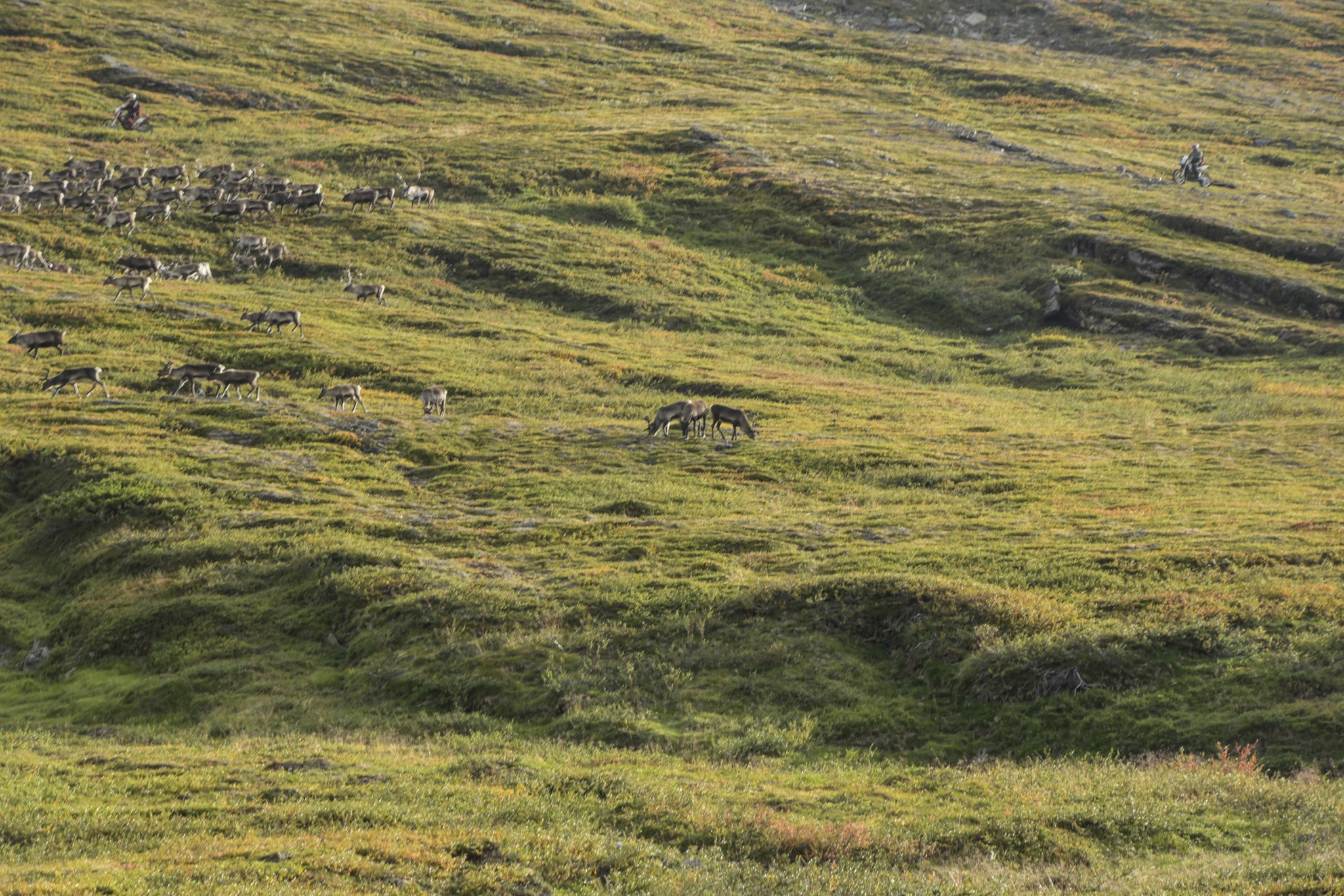 275-Lapland2019_DSC6933_W.jpg