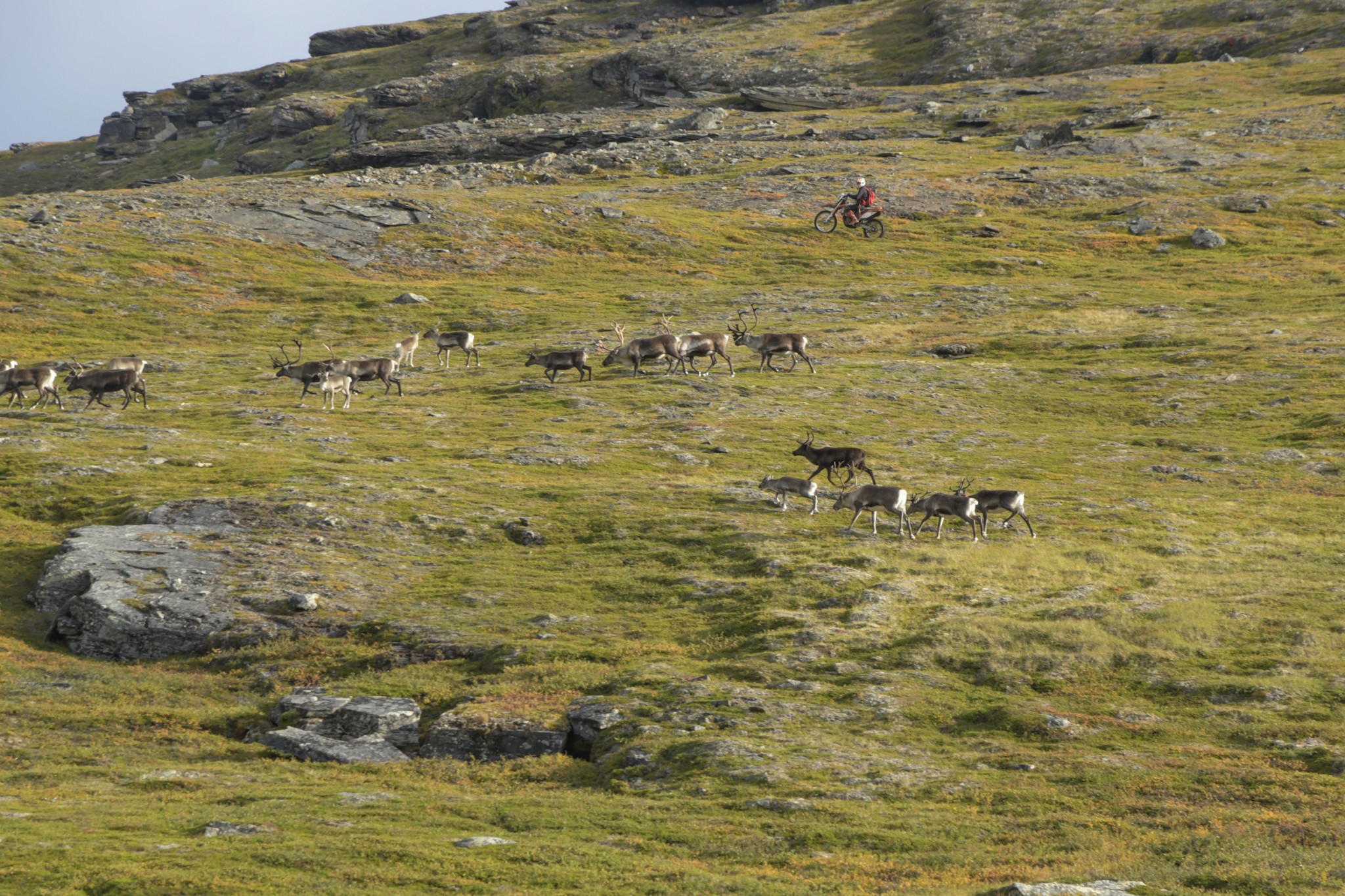 280-Lapland2019_DSC6941_W.jpg