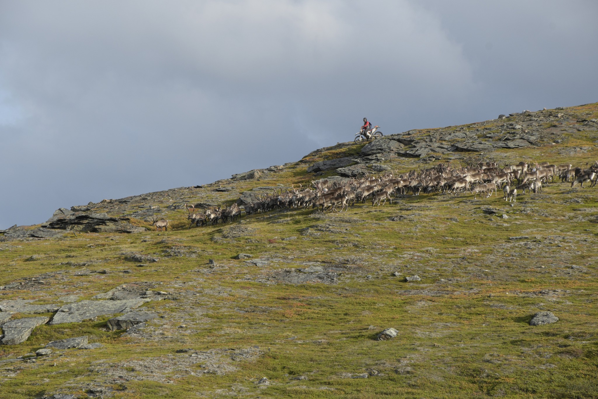 281-Lapland2019_DSC6942_W.jpg