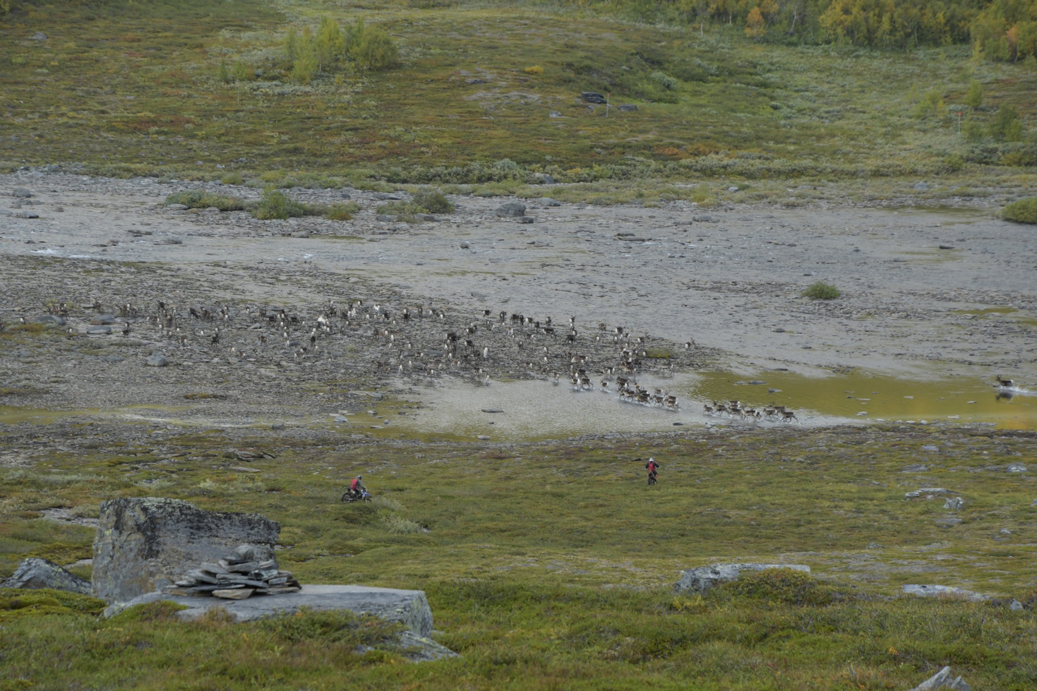 288-Lapland2019_DSC6954_W.jpg