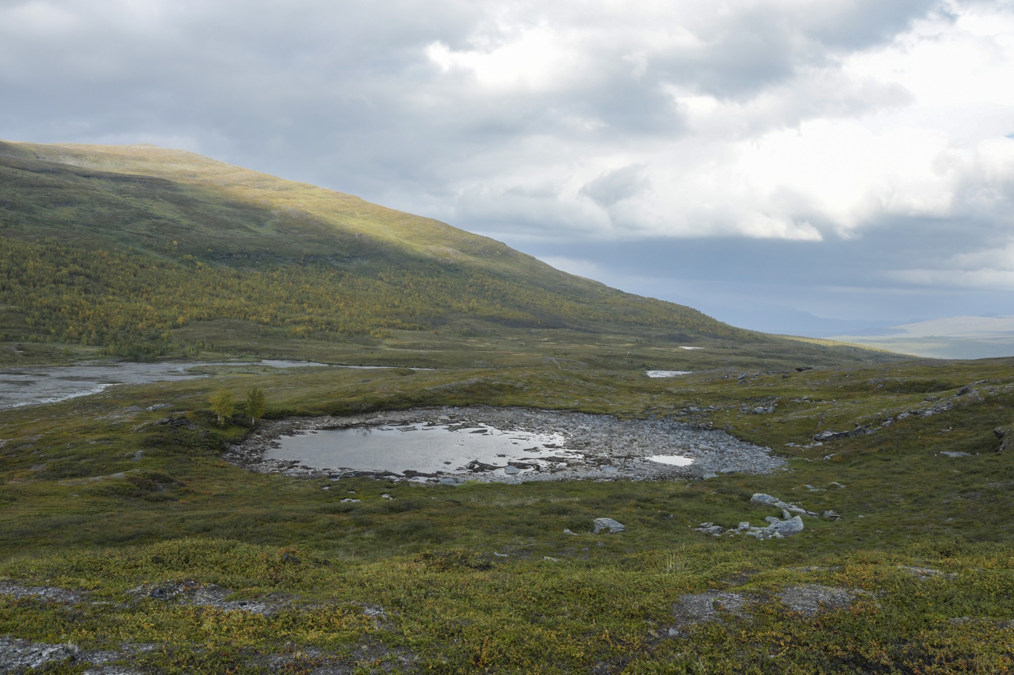 290-Lapland2019_DSC6968_W.jpg