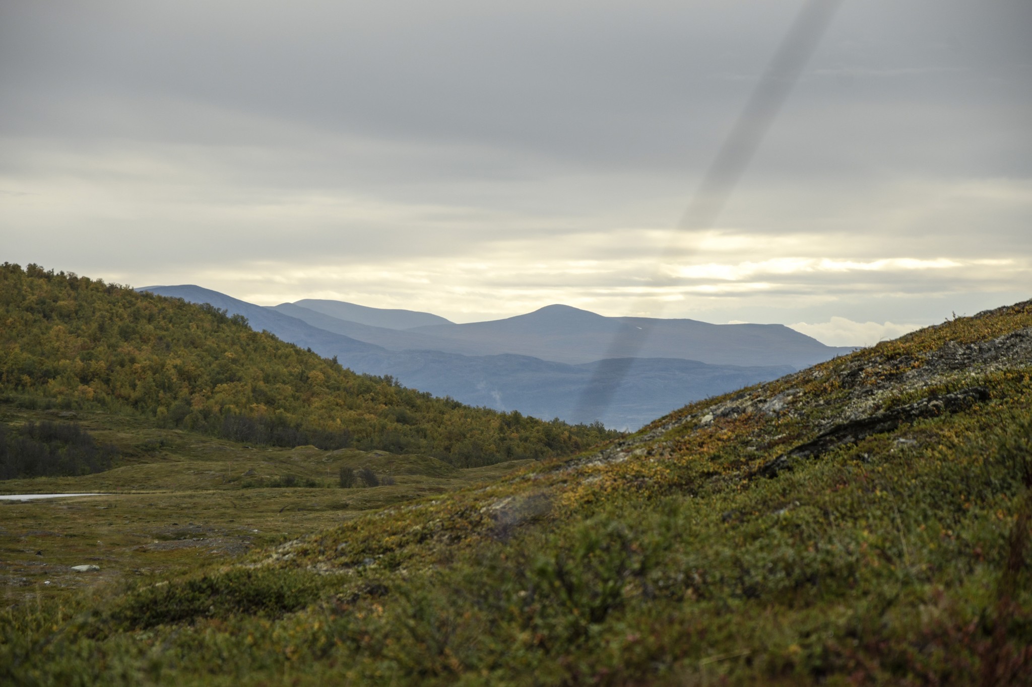 293-Lapland2019_DSC6974_W.jpg