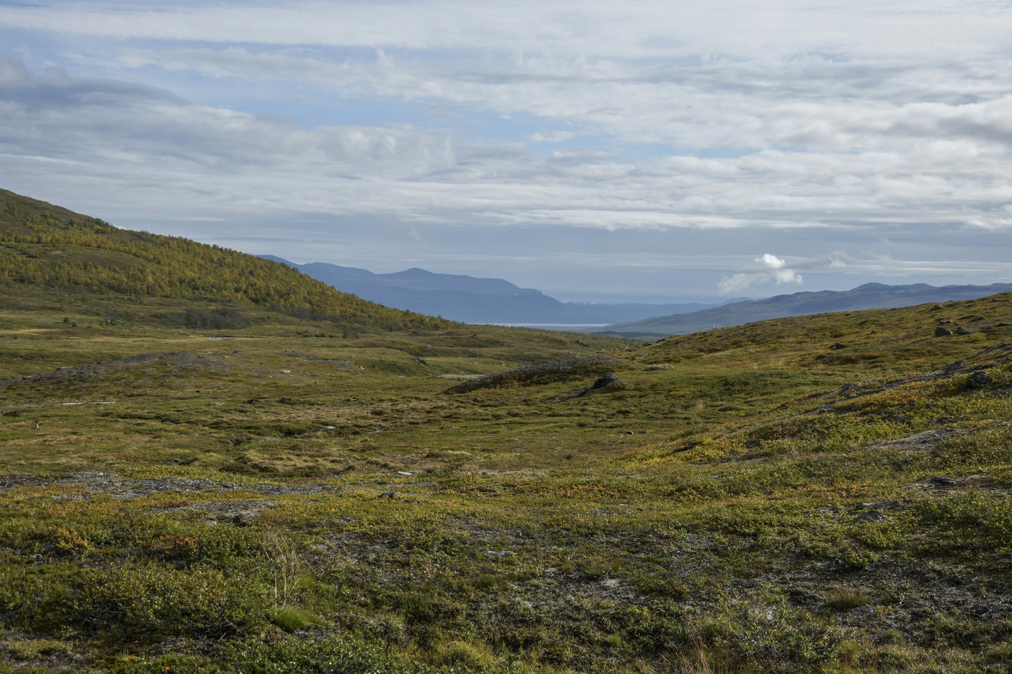 295-Lapland2019_DSC6977_W.jpg