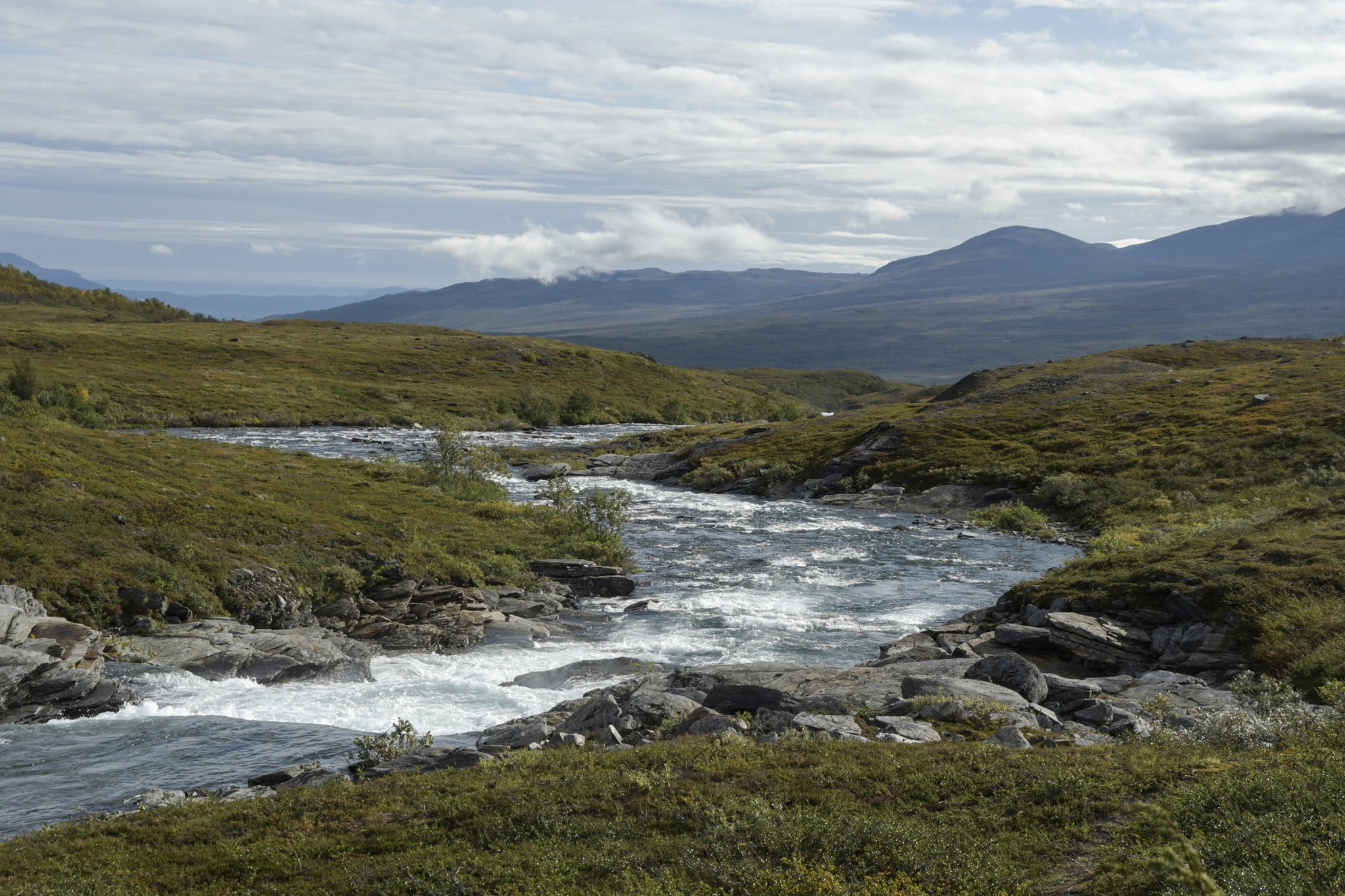 297-Lapland2019_DSC6981_W.jpg