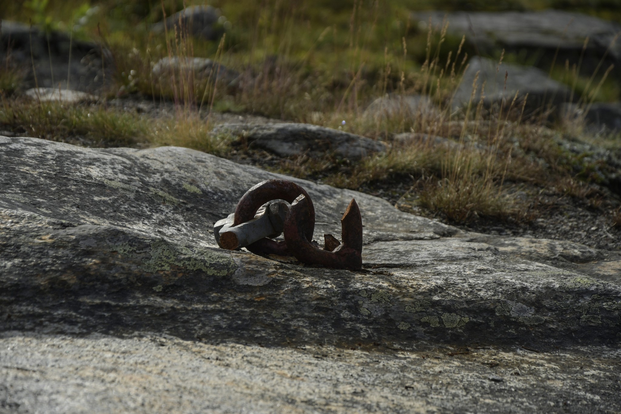 300-Lapland2019_DSC6984_W.jpg